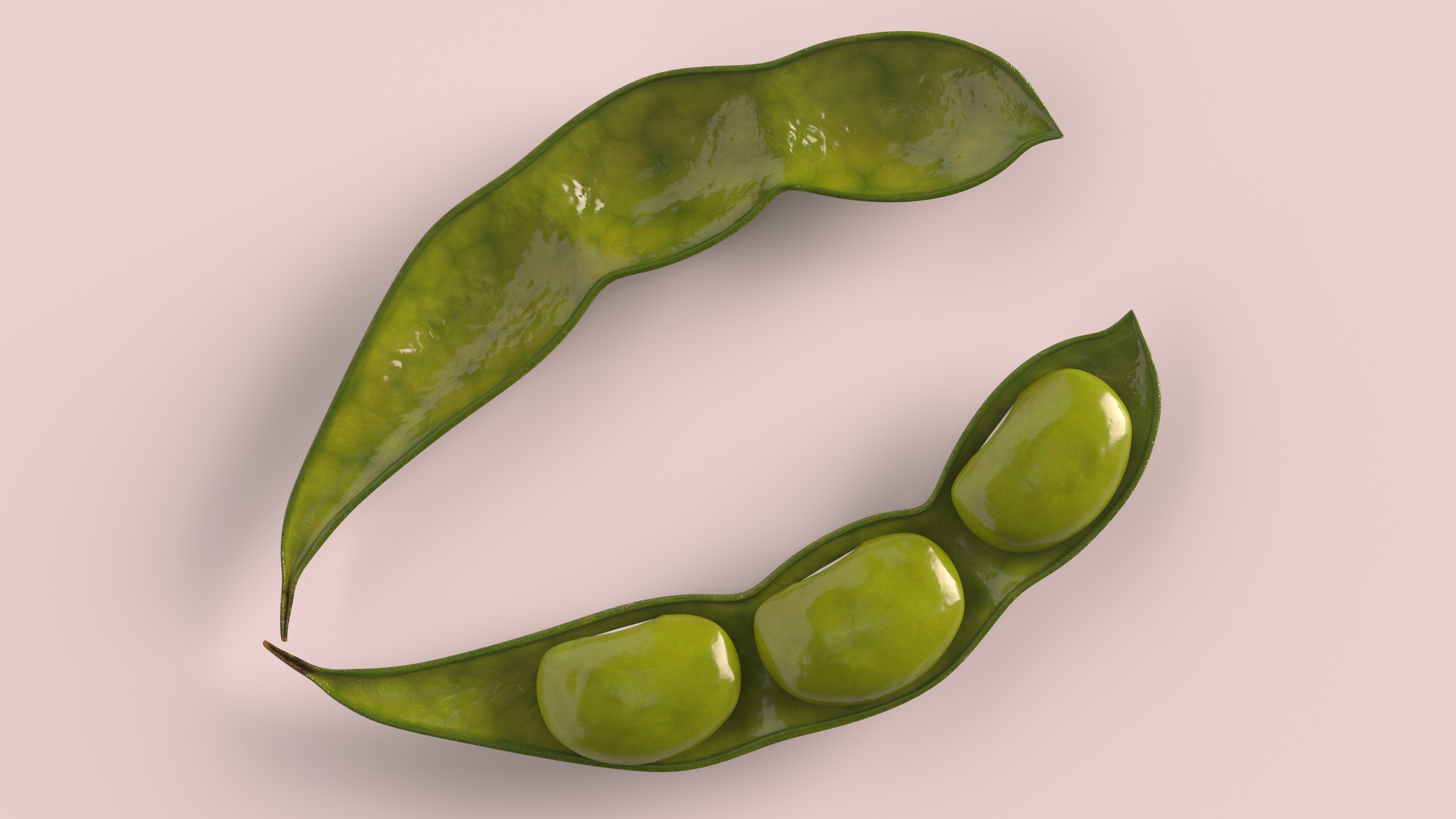 Green Soybean Pod Open 3D