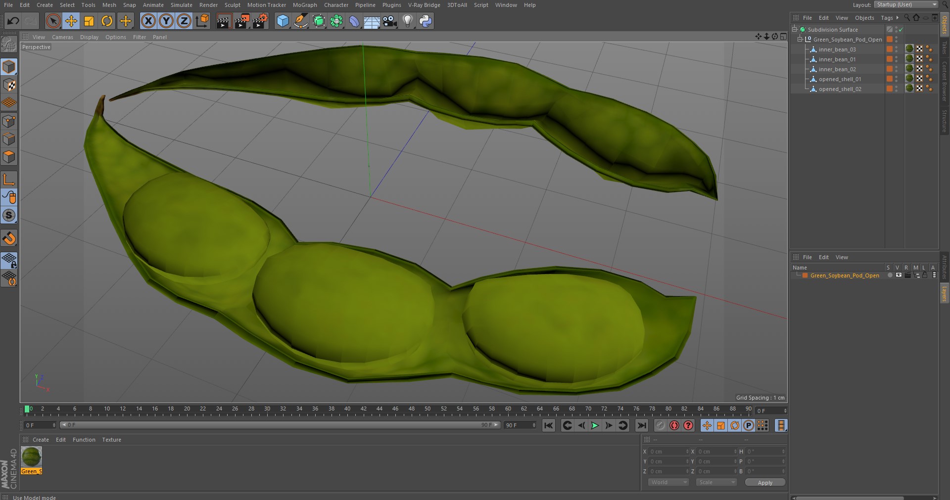 Green Soybean Pod Open 3D