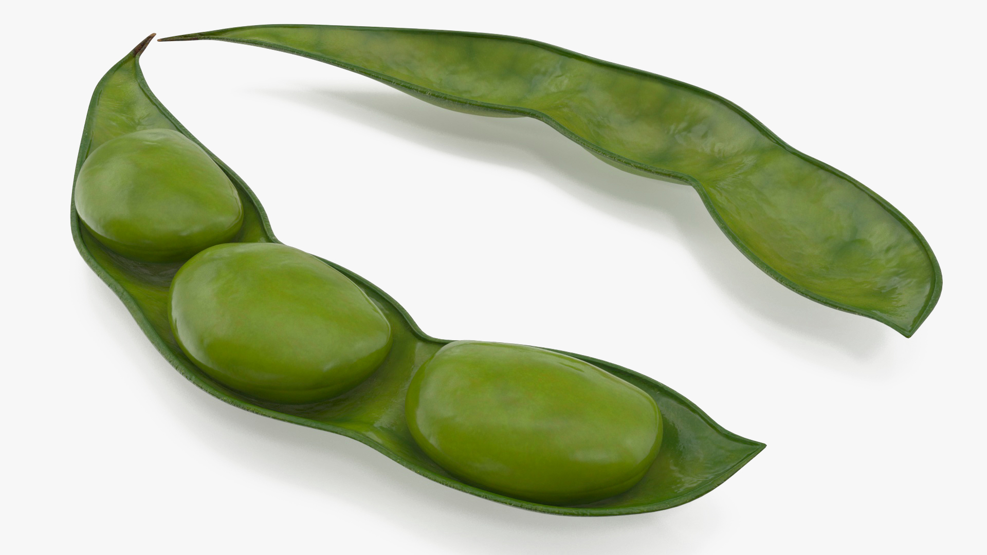 Green Soybean Pod Open 3D