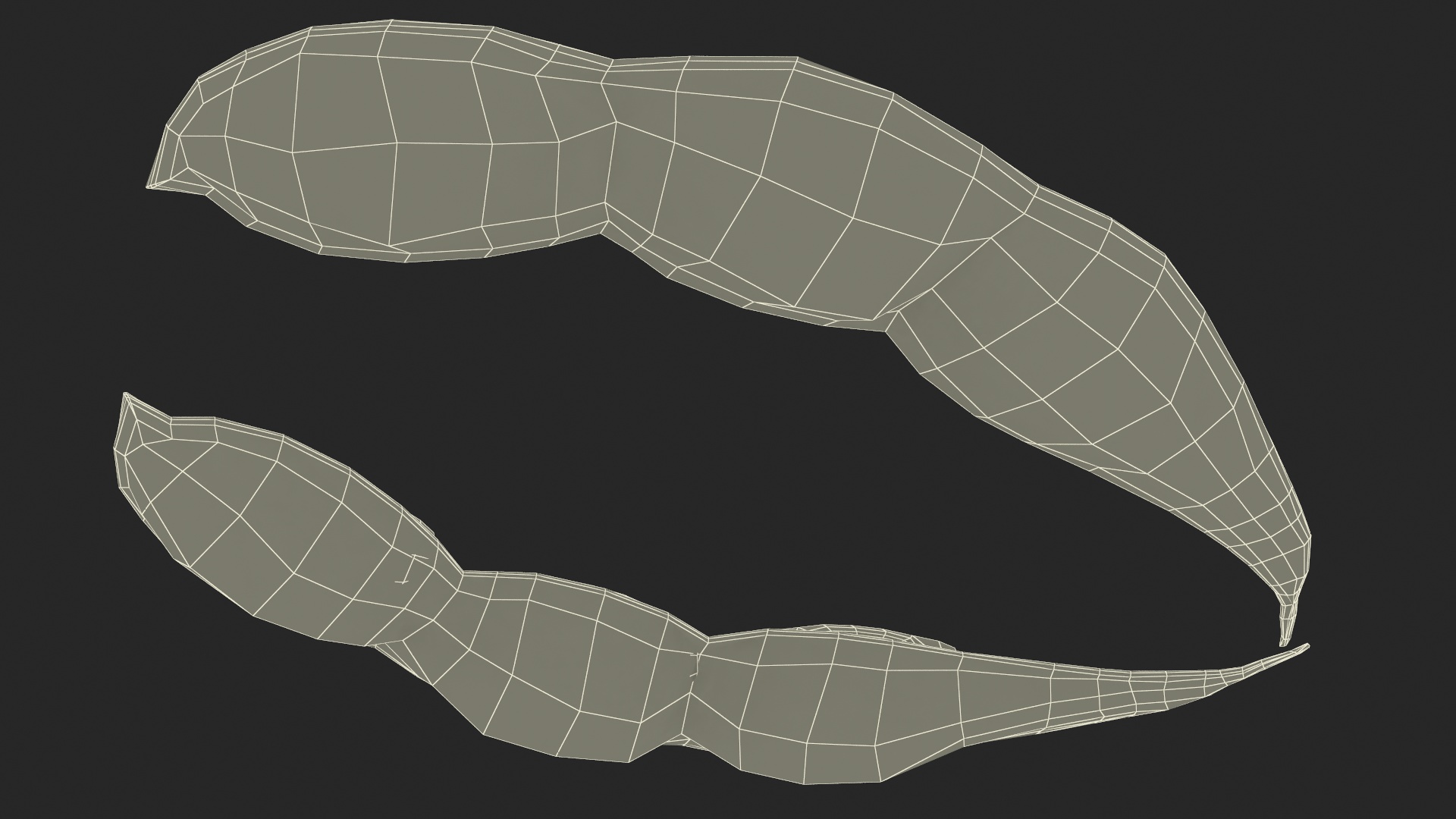 Green Soybean Pod Open 3D