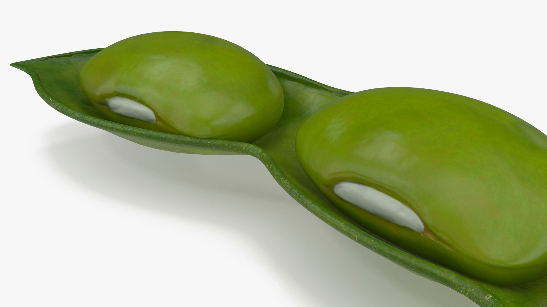 Green Soybean Pod Open 3D