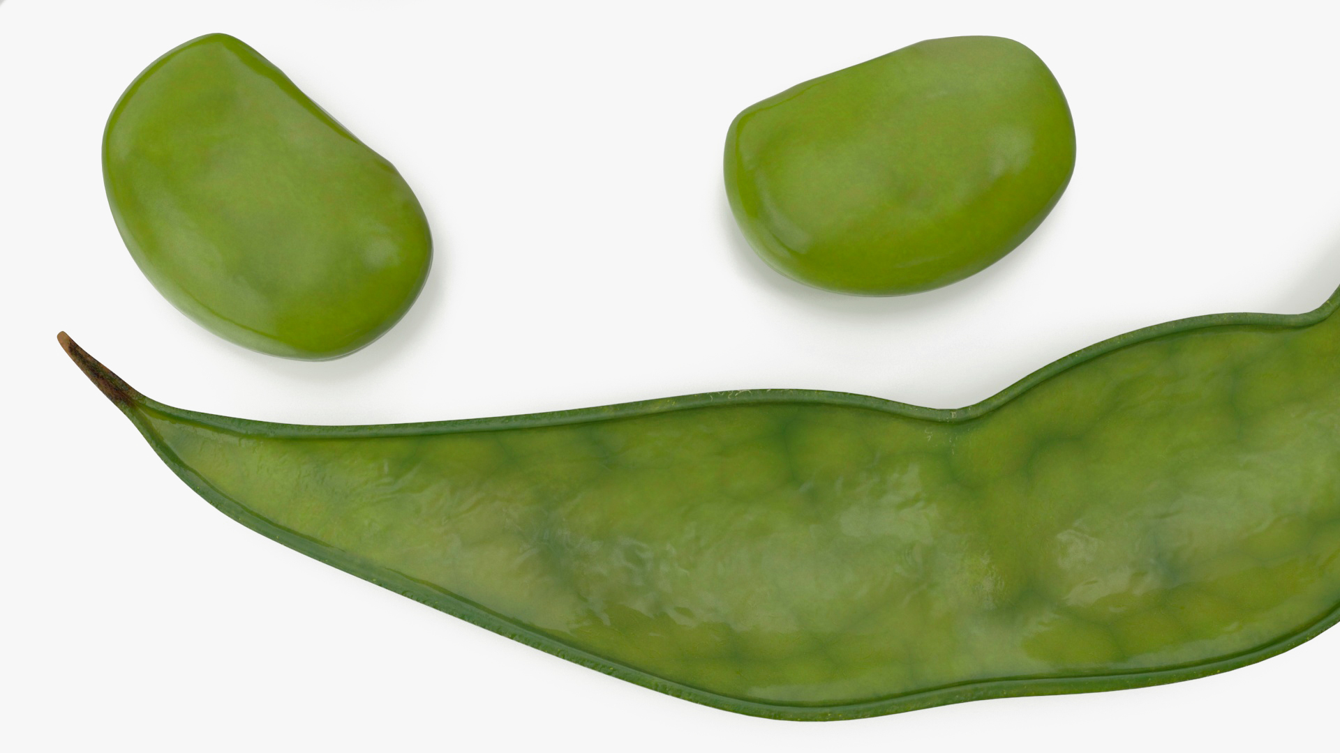 Green Soybean Pod Open 3D
