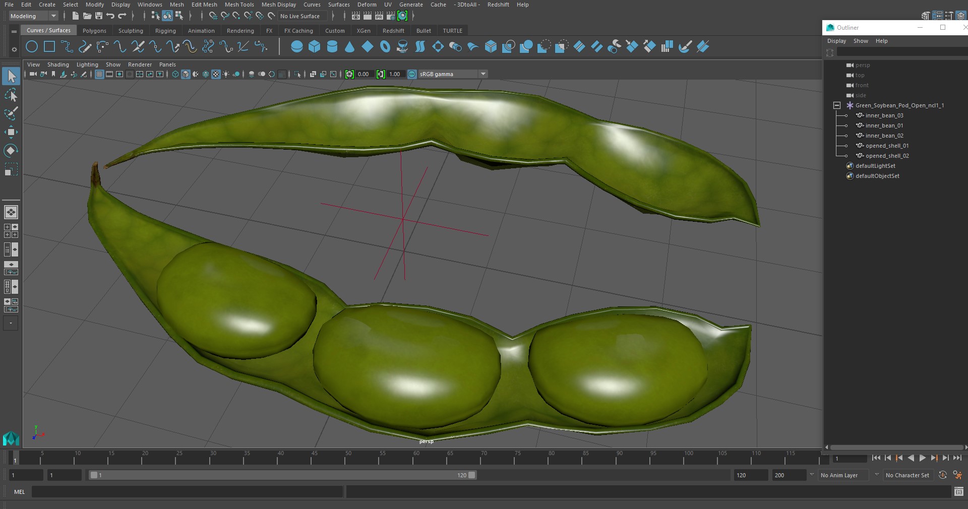 Green Soybean Pod Open 3D