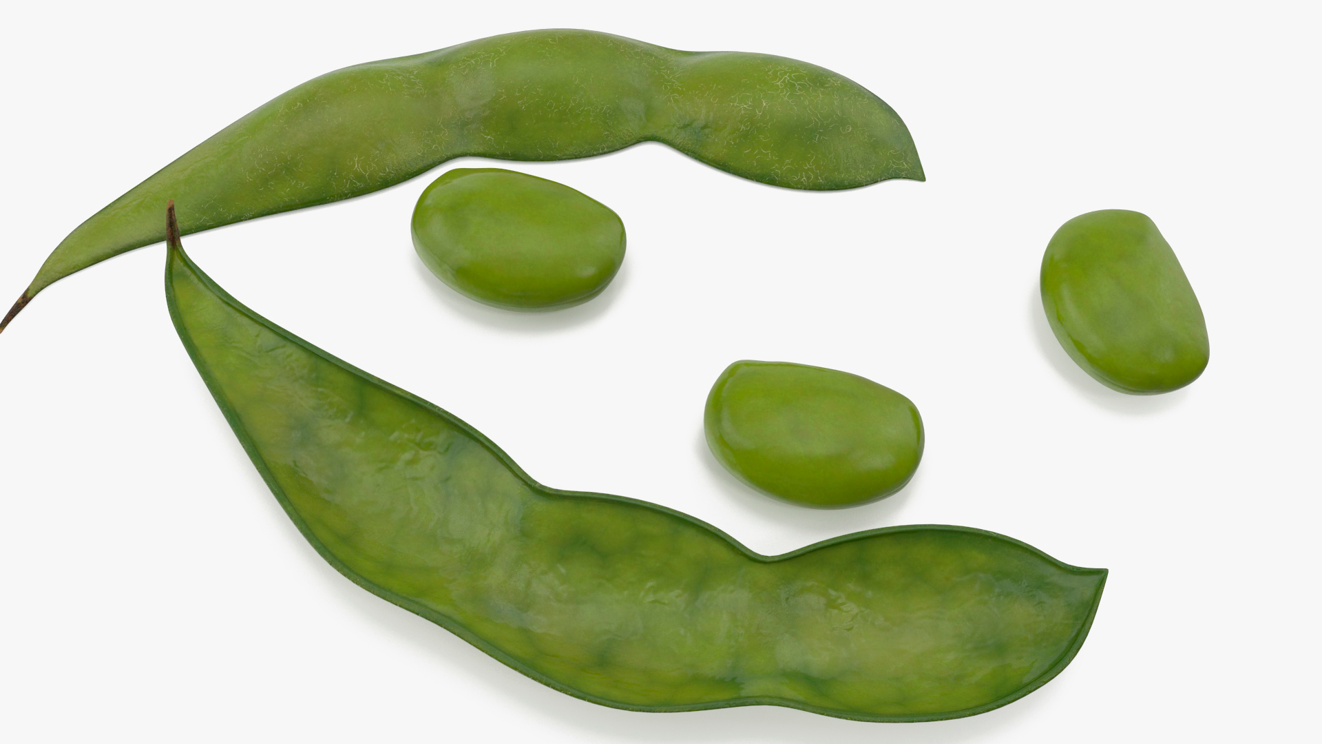 Green Soybean Pod Open 3D
