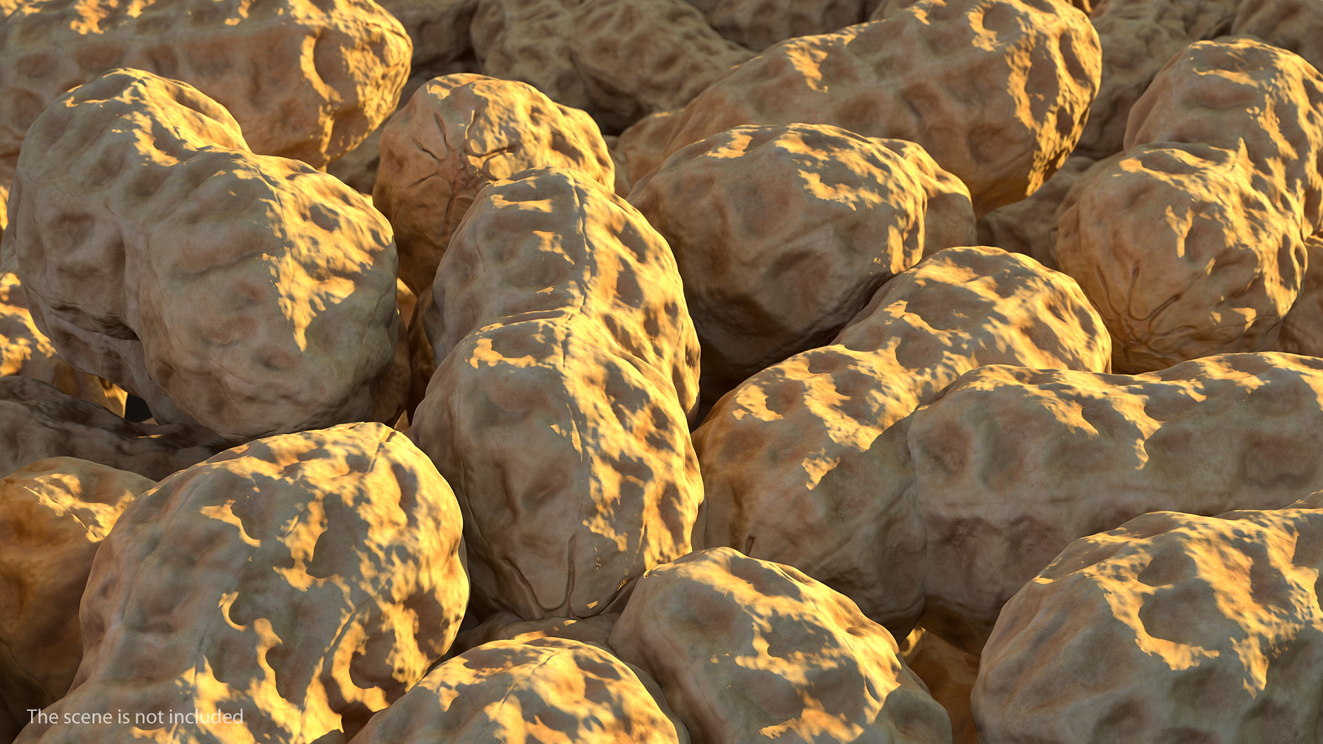 3D Whole Peanuts model