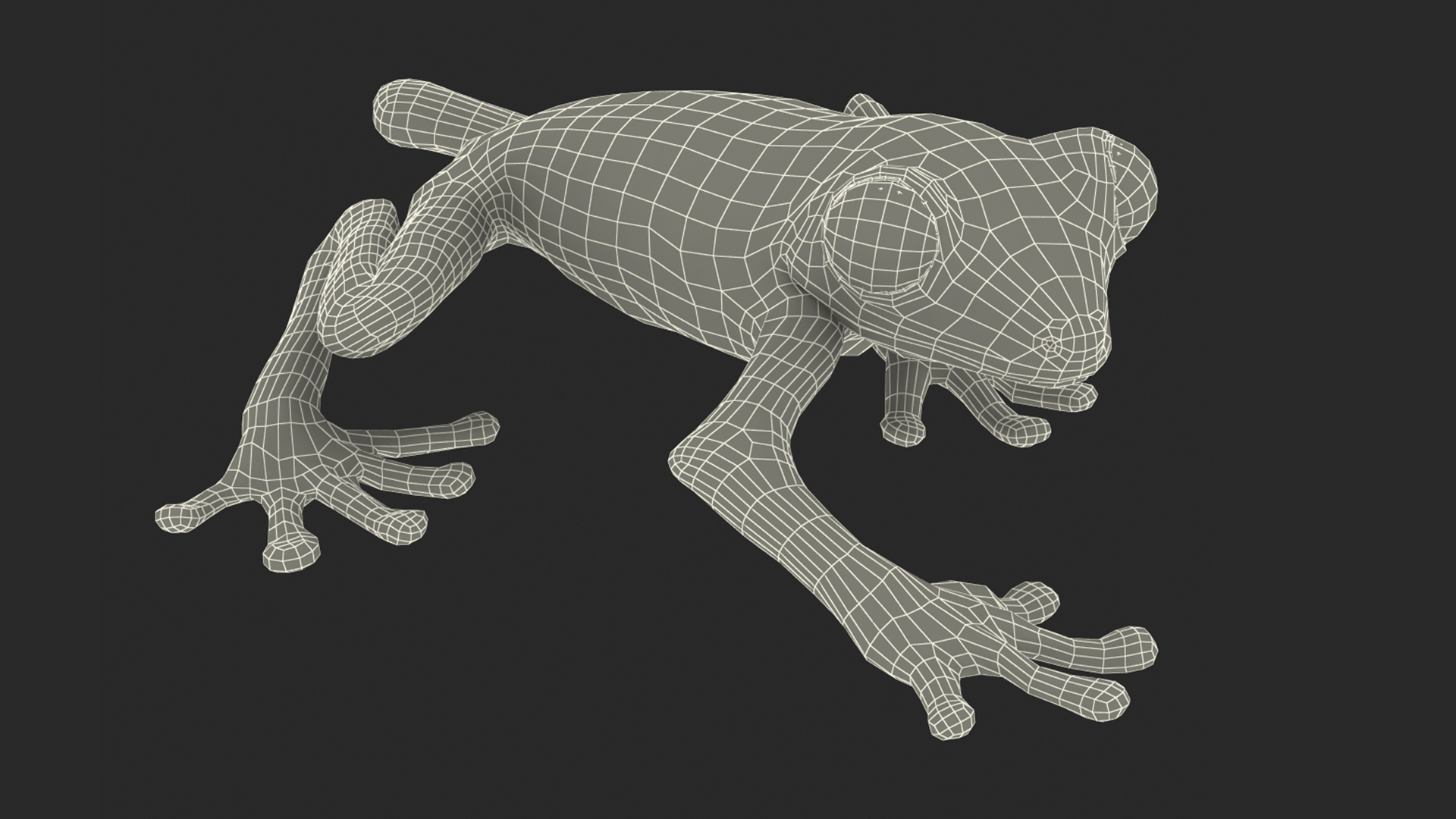 3D model Realistic Tree Frog Rigged for Maya