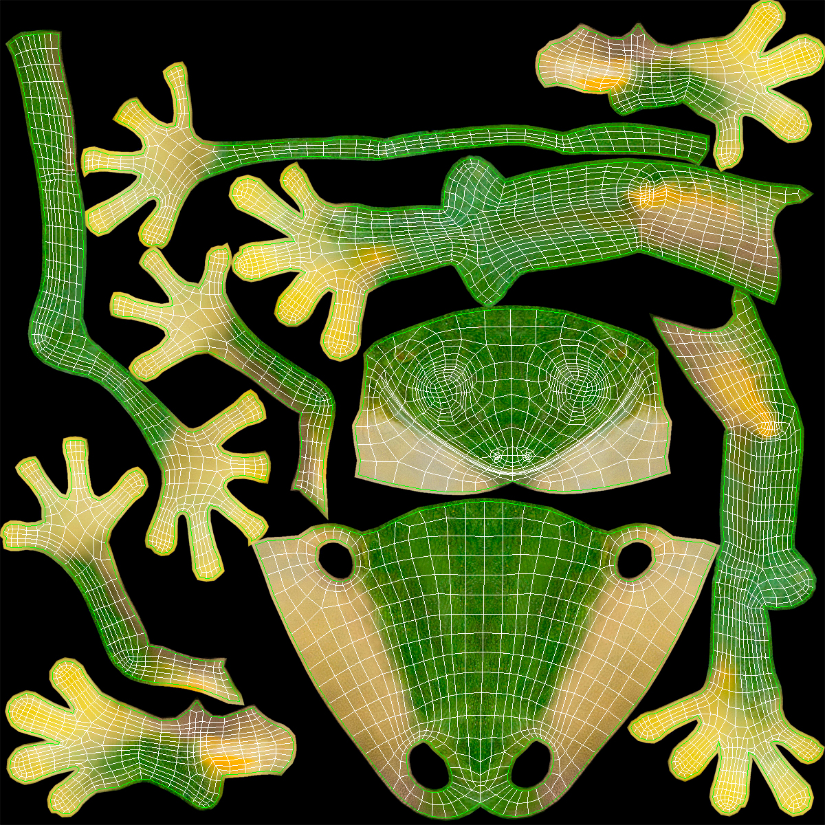 3D model Realistic Tree Frog Rigged for Maya