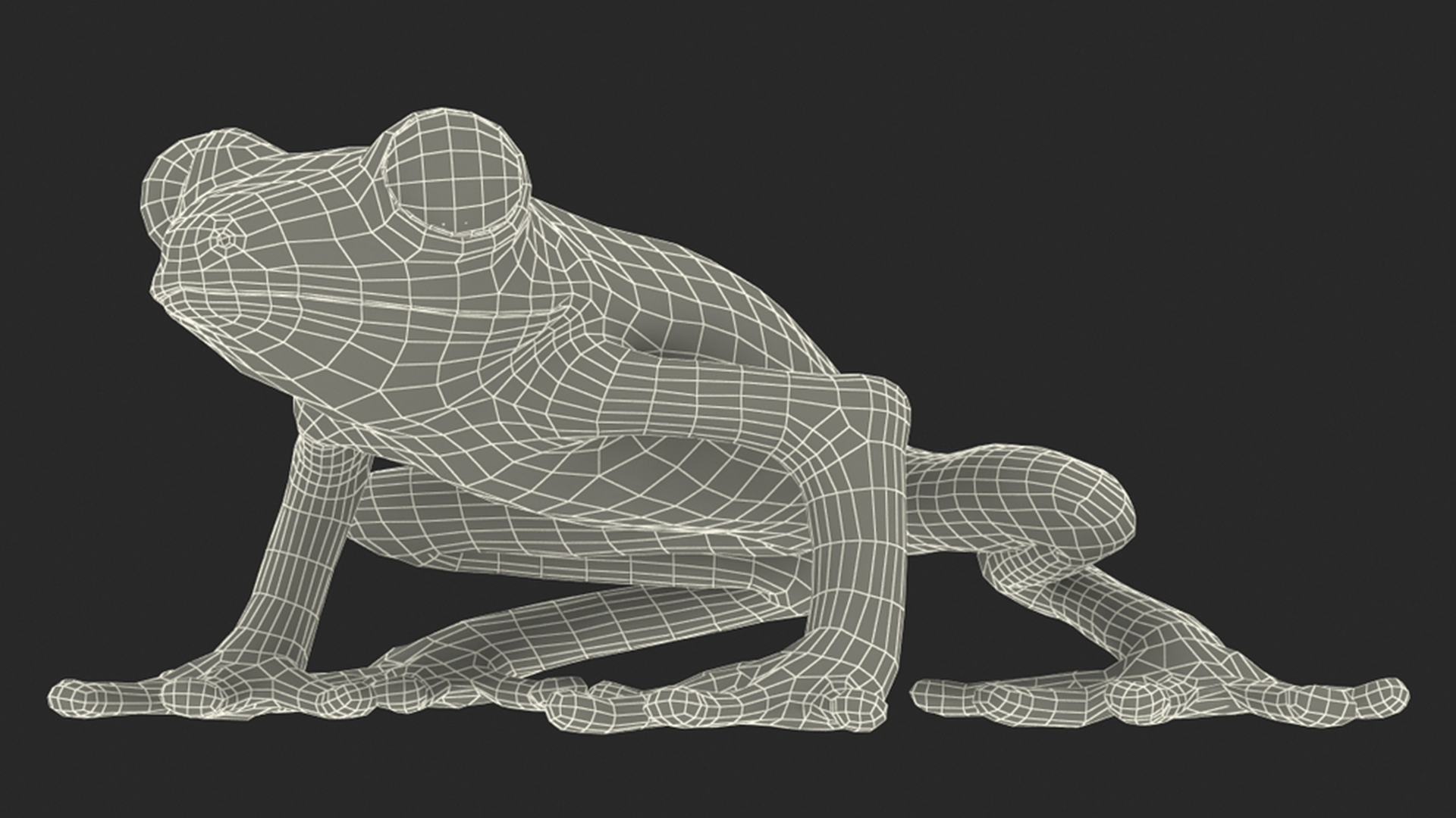 3D model Realistic Tree Frog Rigged for Maya