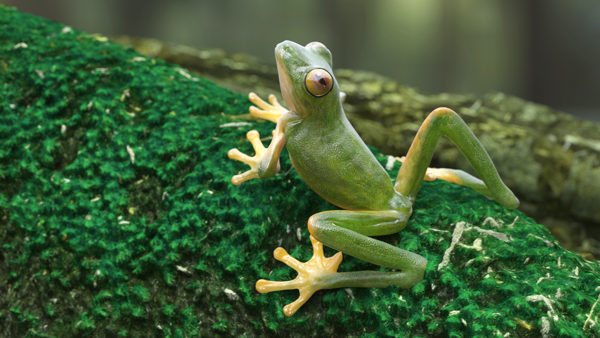3D model Realistic Tree Frog Rigged for Maya