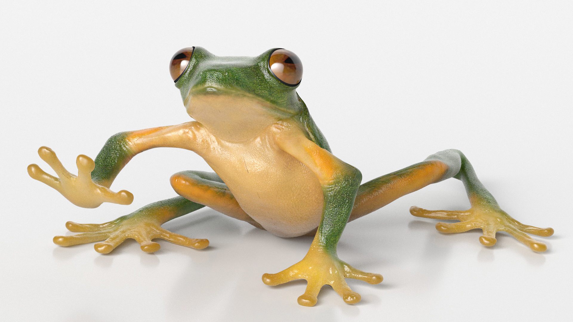 3D model Realistic Tree Frog Rigged for Maya