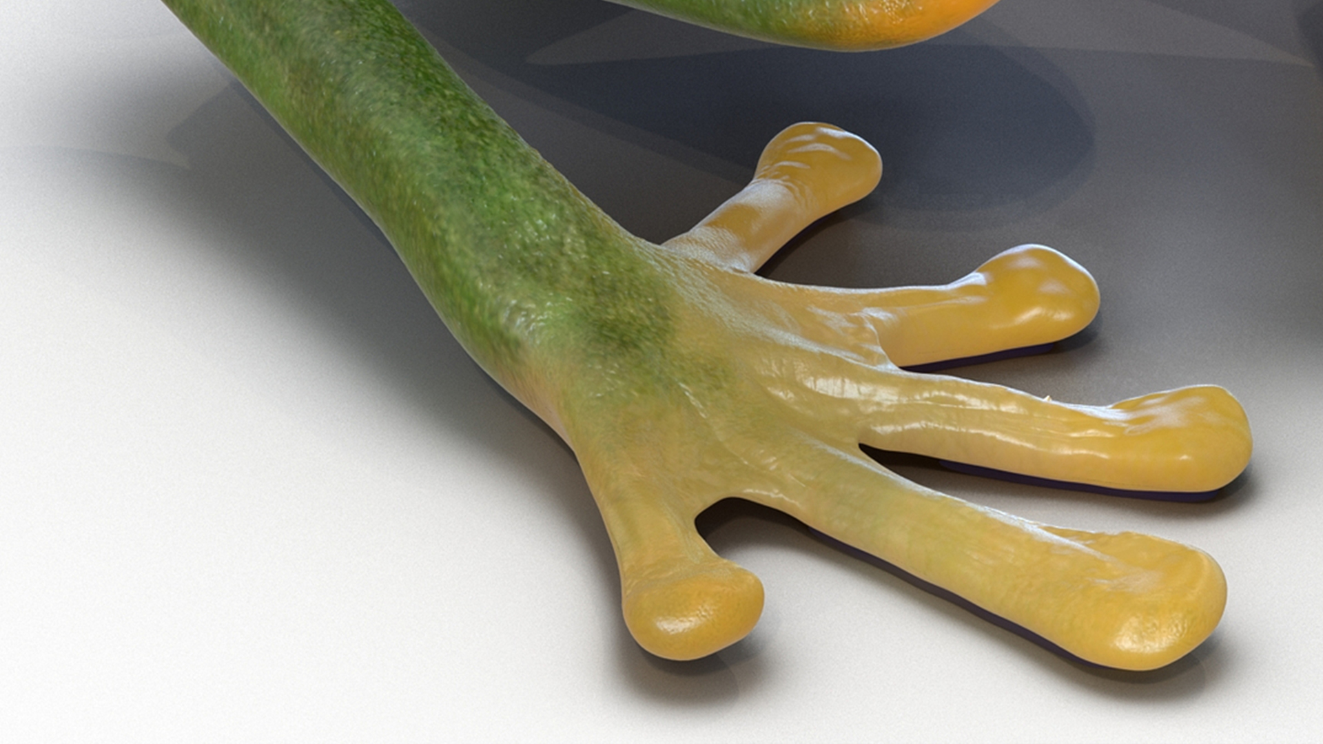 3D model Realistic Tree Frog Rigged for Maya