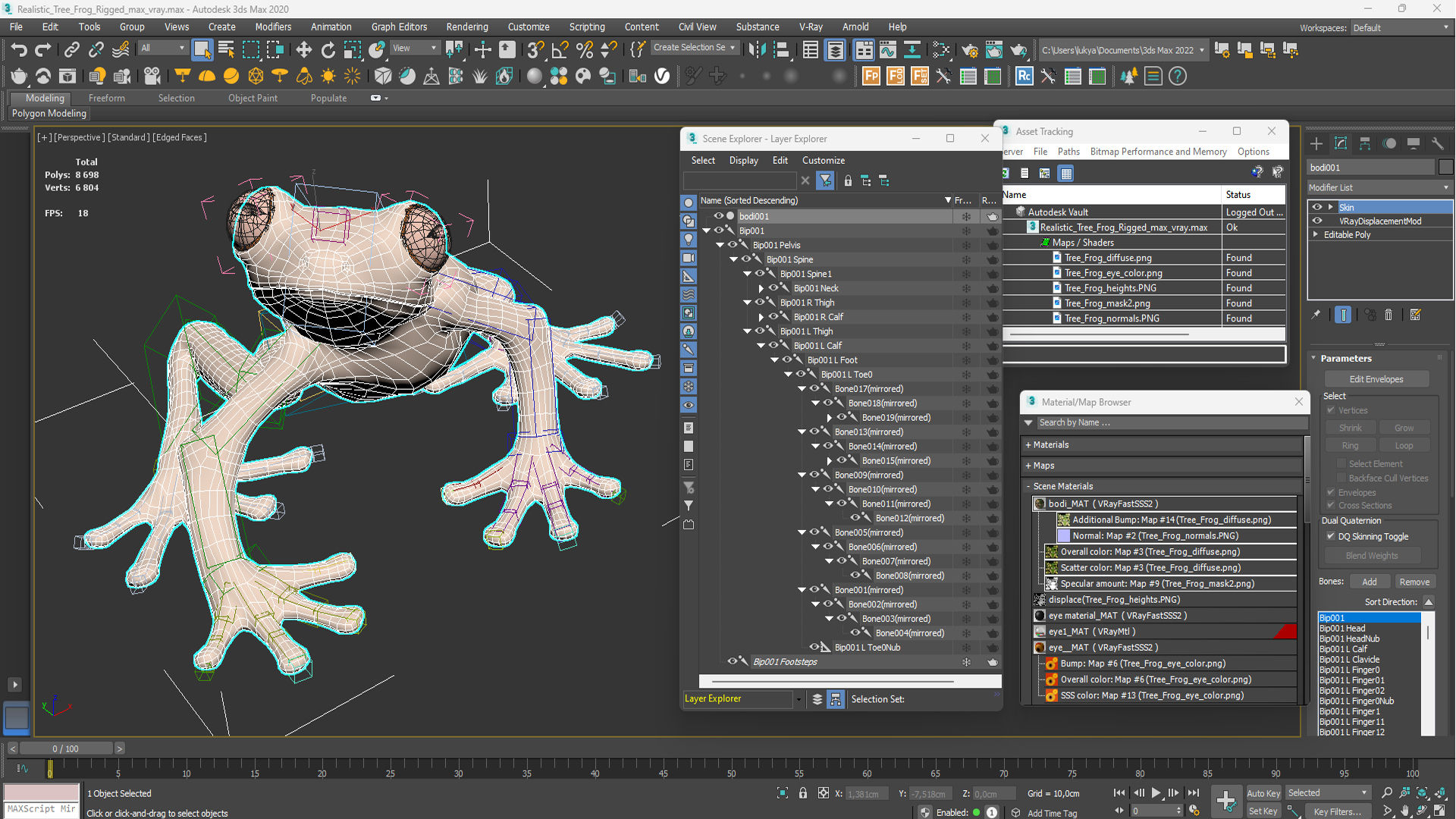 3D model Realistic Tree Frog Rigged for Maya
