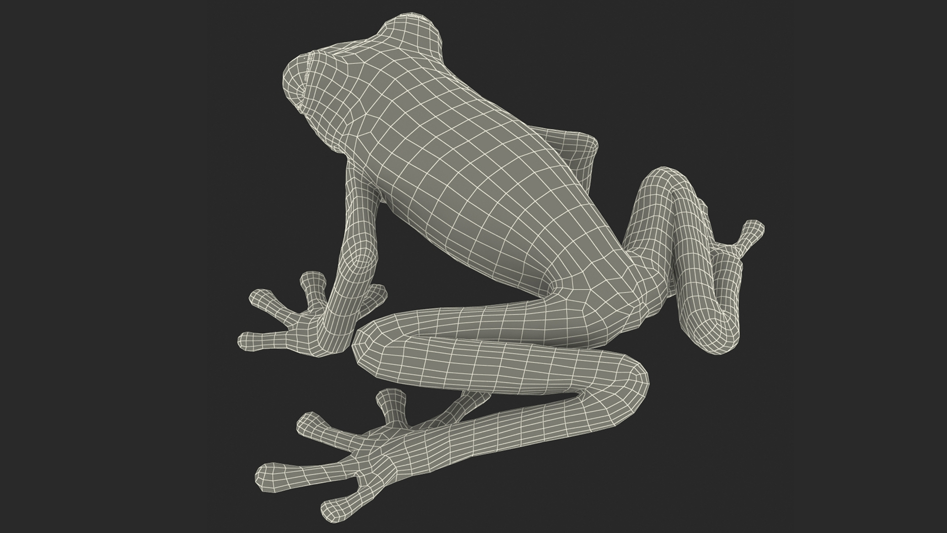 3D model Realistic Tree Frog Rigged for Maya