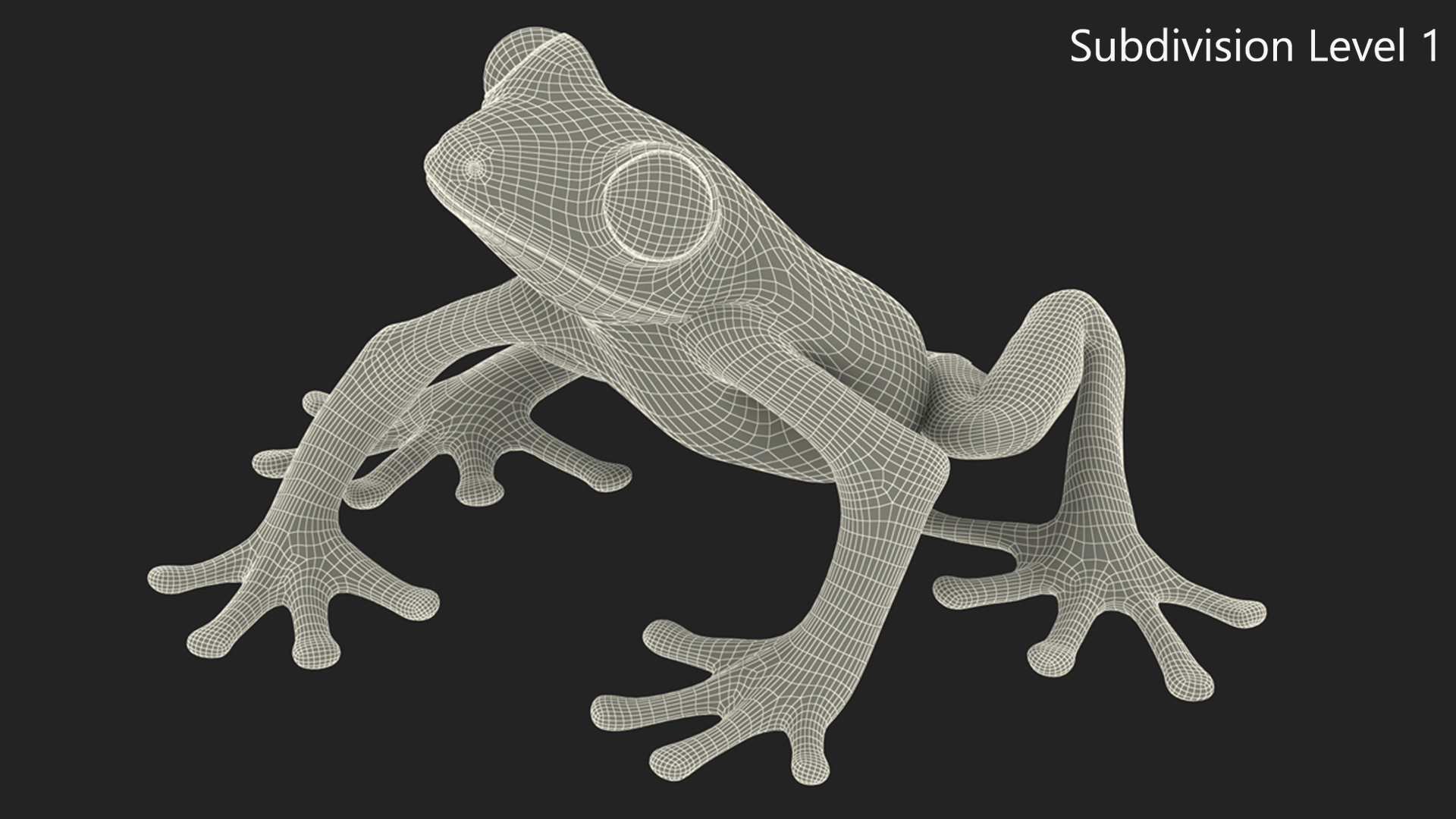 3D model Realistic Tree Frog Rigged for Maya