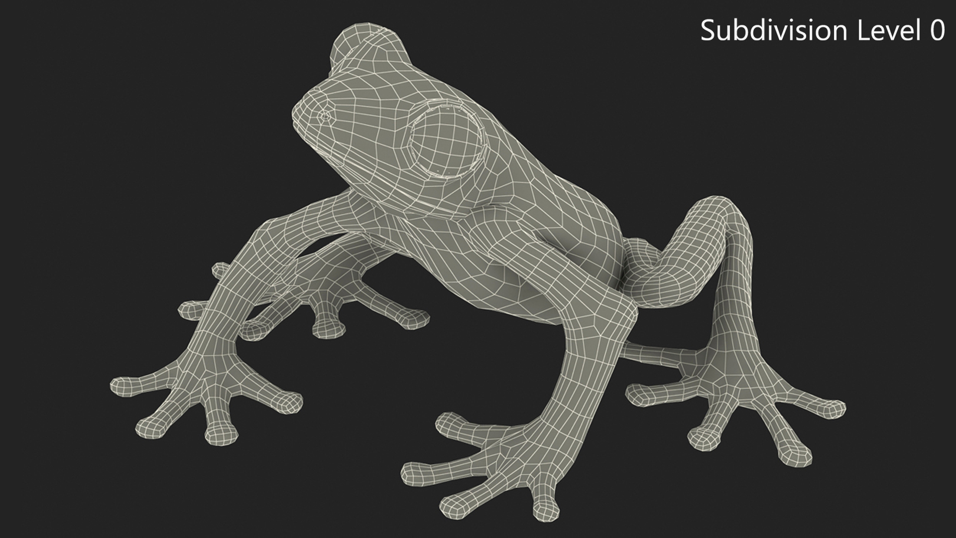 3D model Realistic Tree Frog Rigged for Maya
