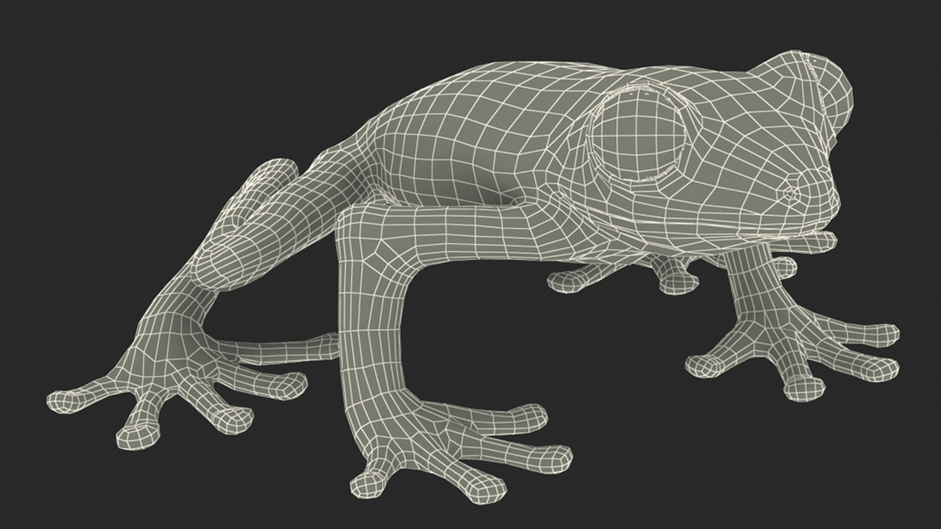 3D model Realistic Tree Frog Rigged for Maya
