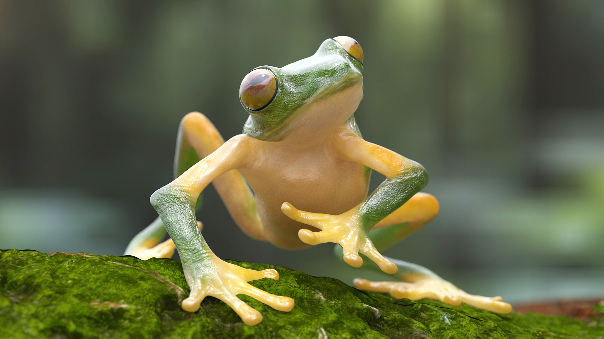 3D model Realistic Tree Frog Rigged for Maya
