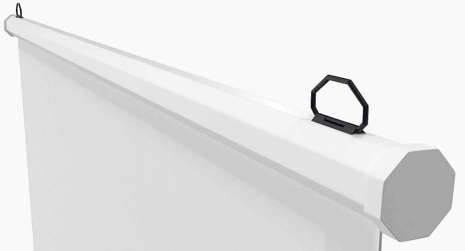 3D Manual Pull Down White Projection Screen Wall Mounted model
