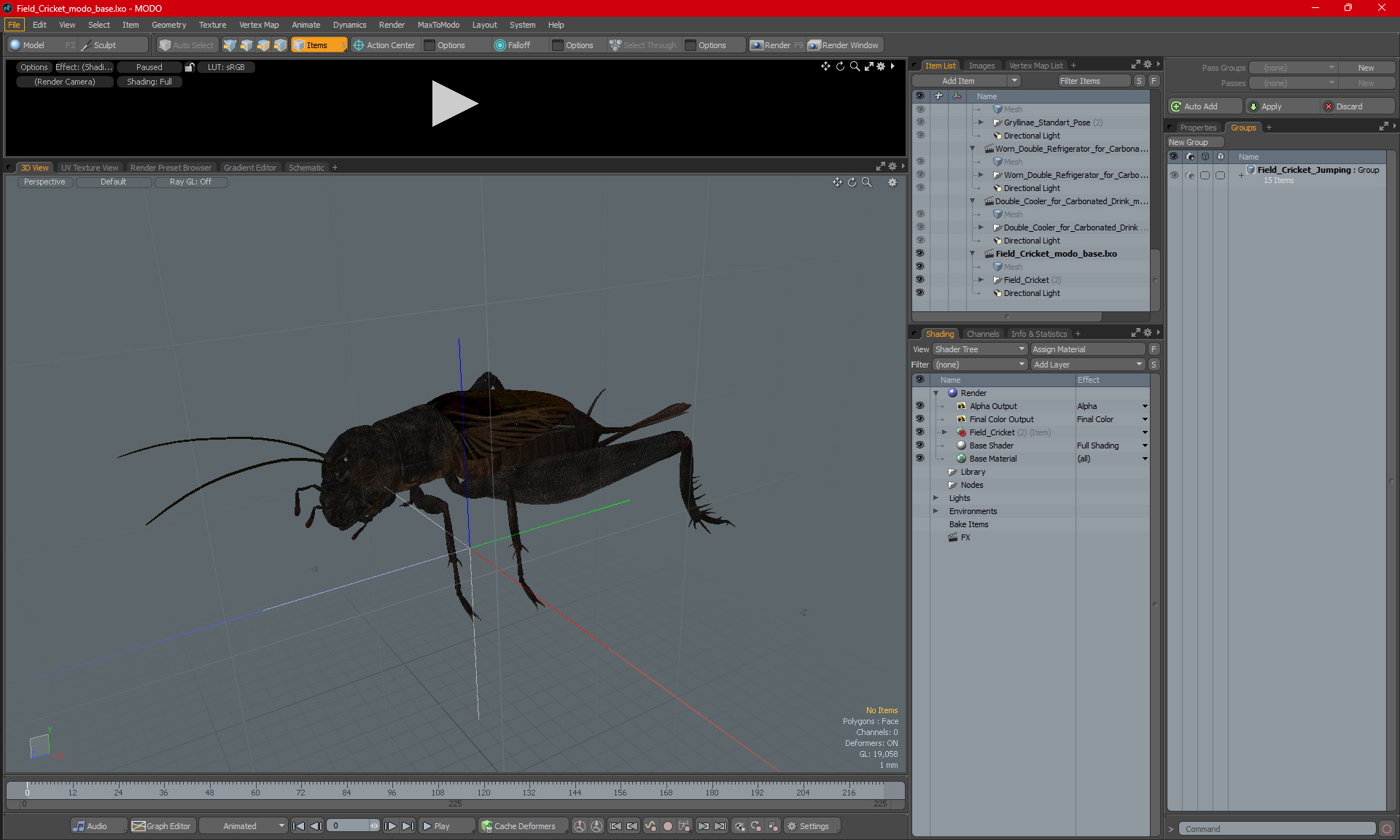 3D Field Cricket model