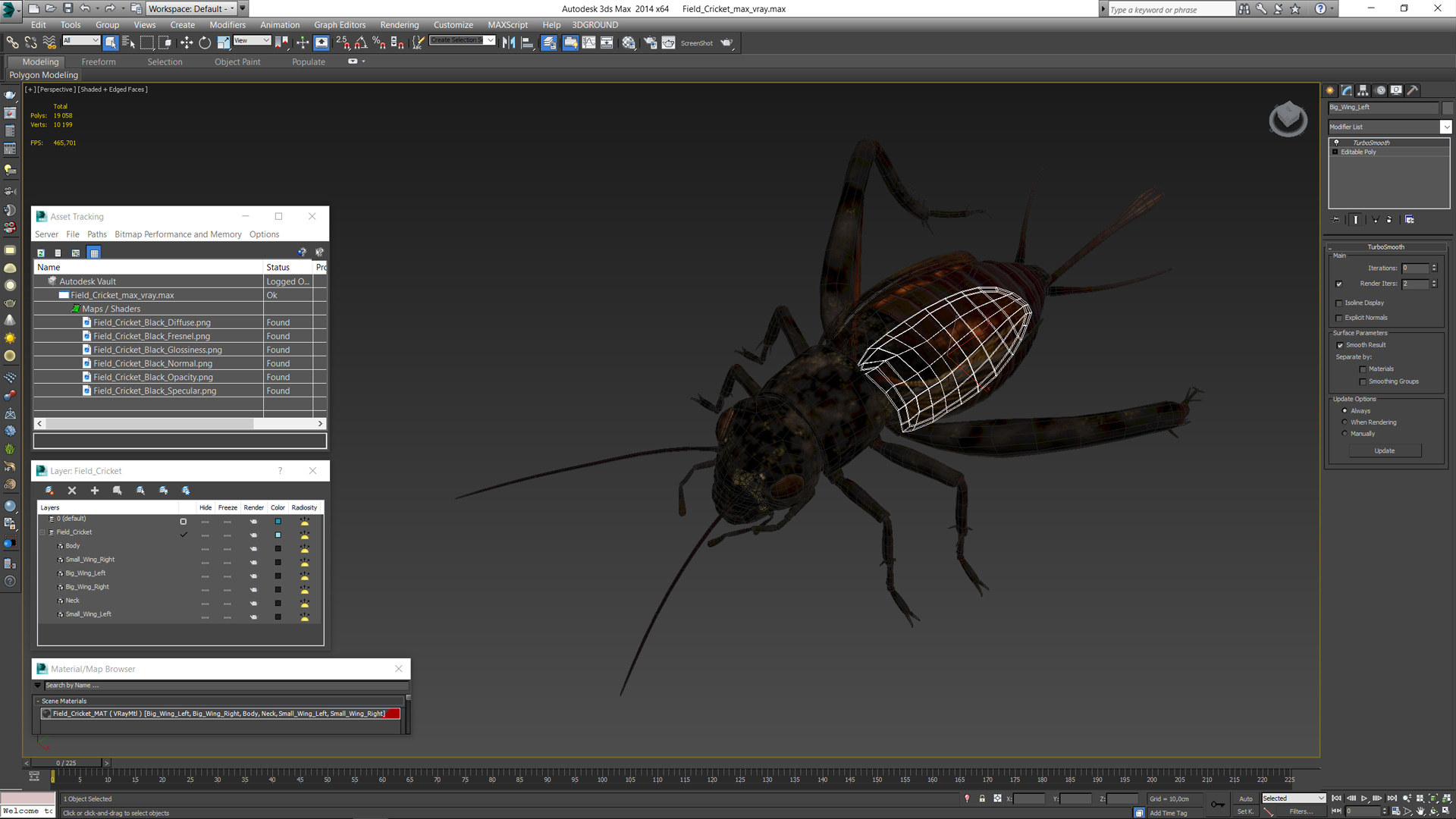 3D Field Cricket model
