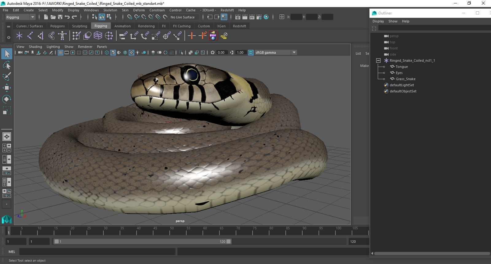 Ringed Snake Coiled 3D model
