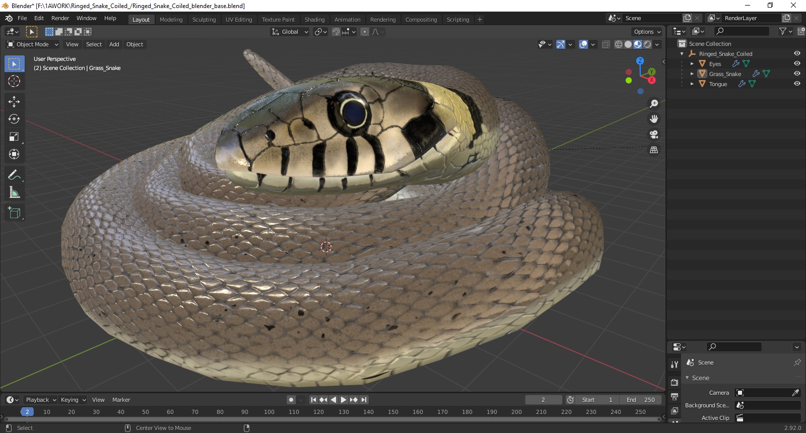 Ringed Snake Coiled 3D model