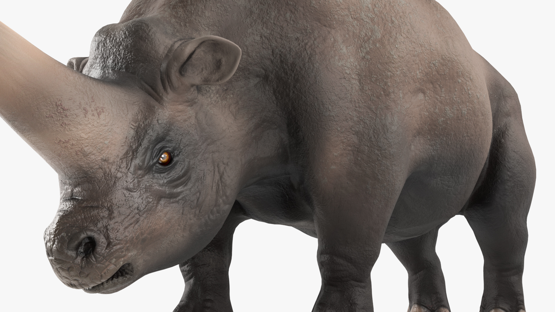 3D model Giant Rhinoceros Standing Pose