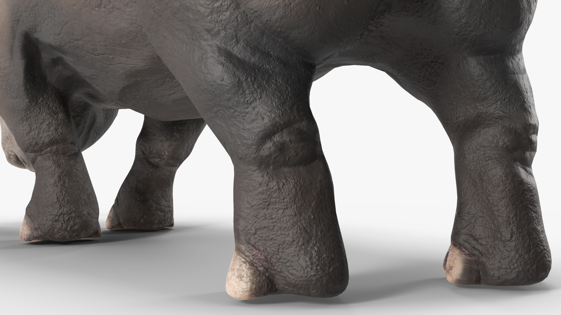 3D model Giant Rhinoceros Standing Pose