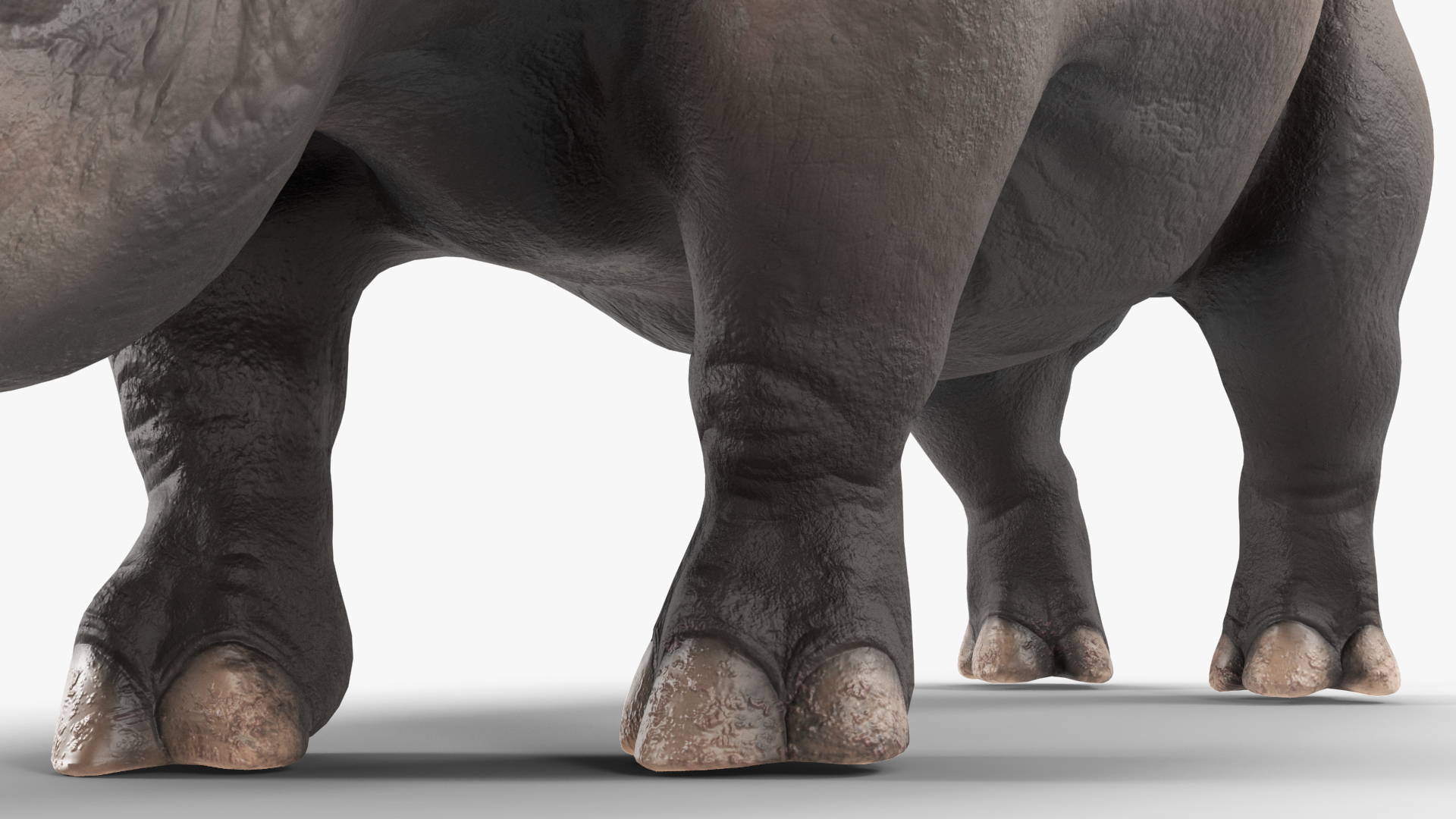 3D model Giant Rhinoceros Standing Pose