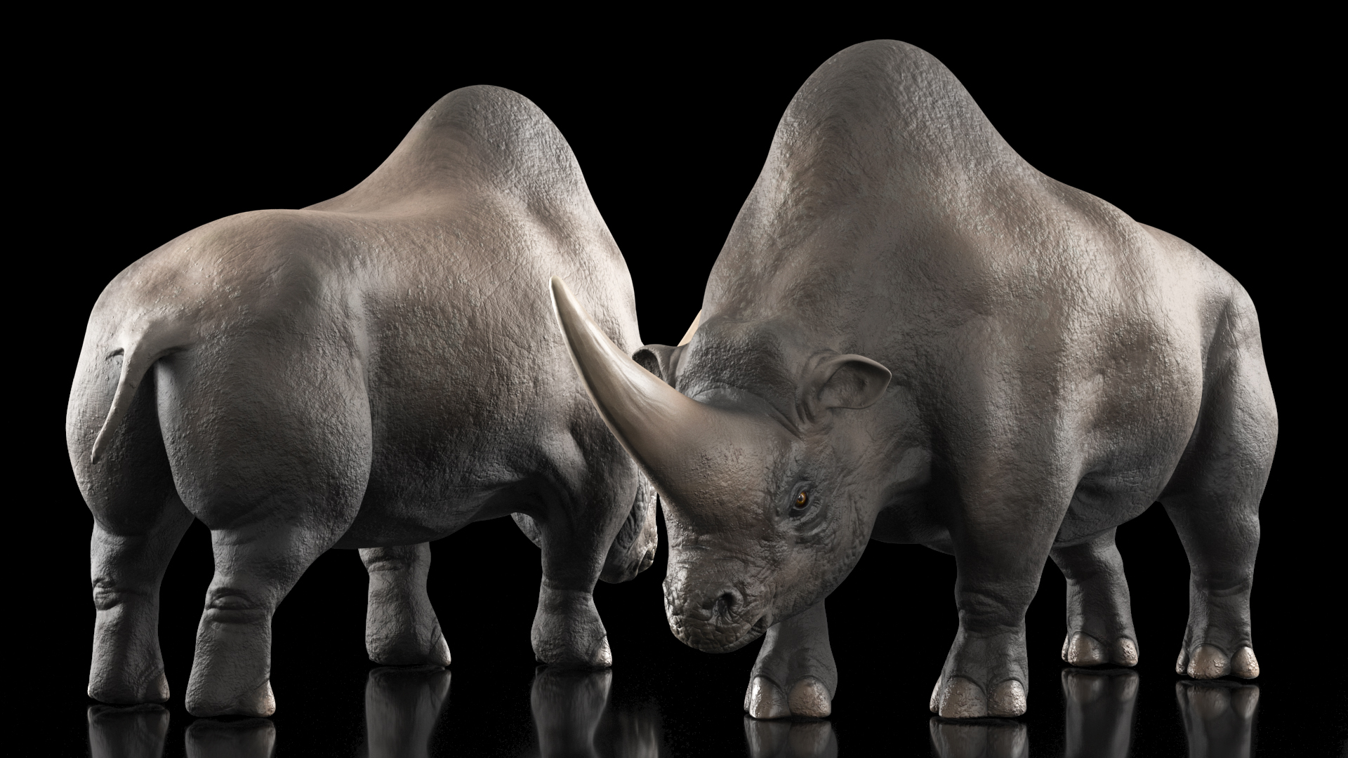3D model Giant Rhinoceros Standing Pose