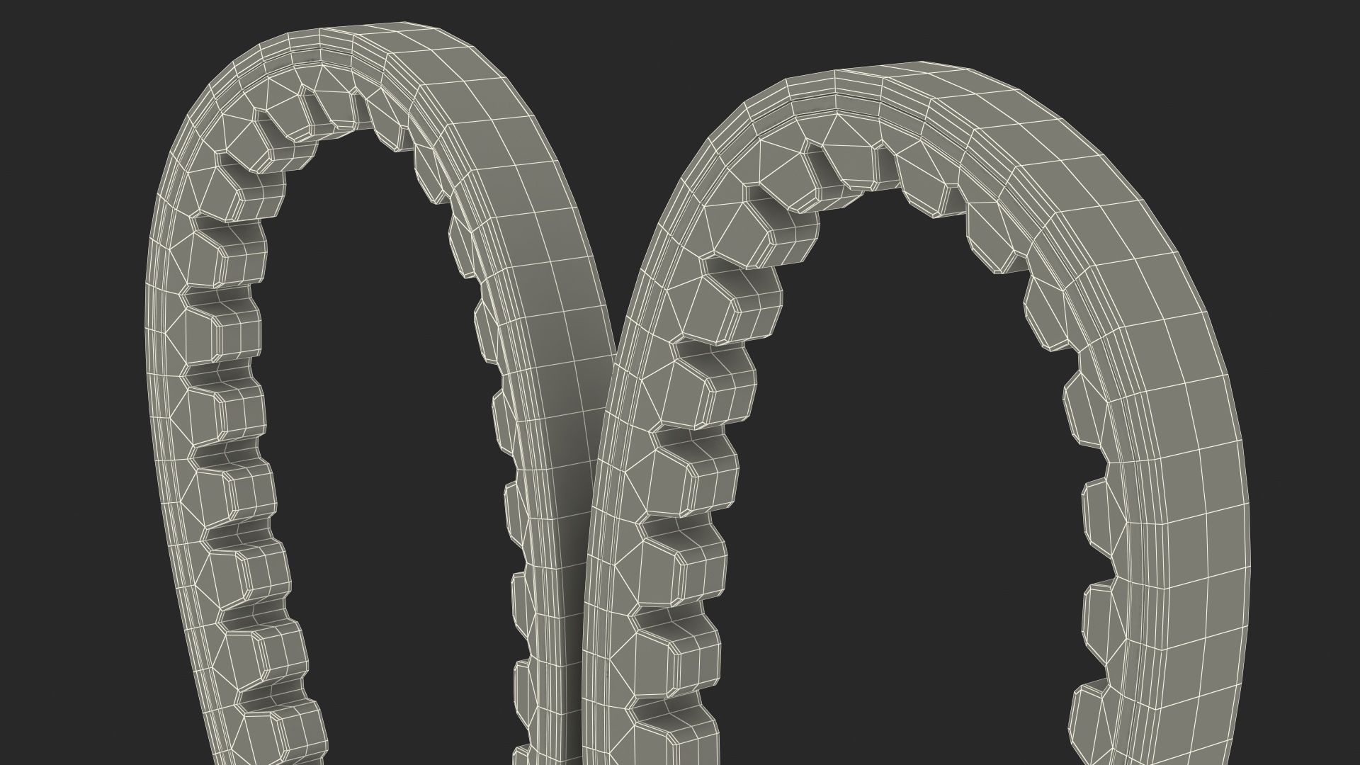 3D Accessory Drive V Belt With Label model
