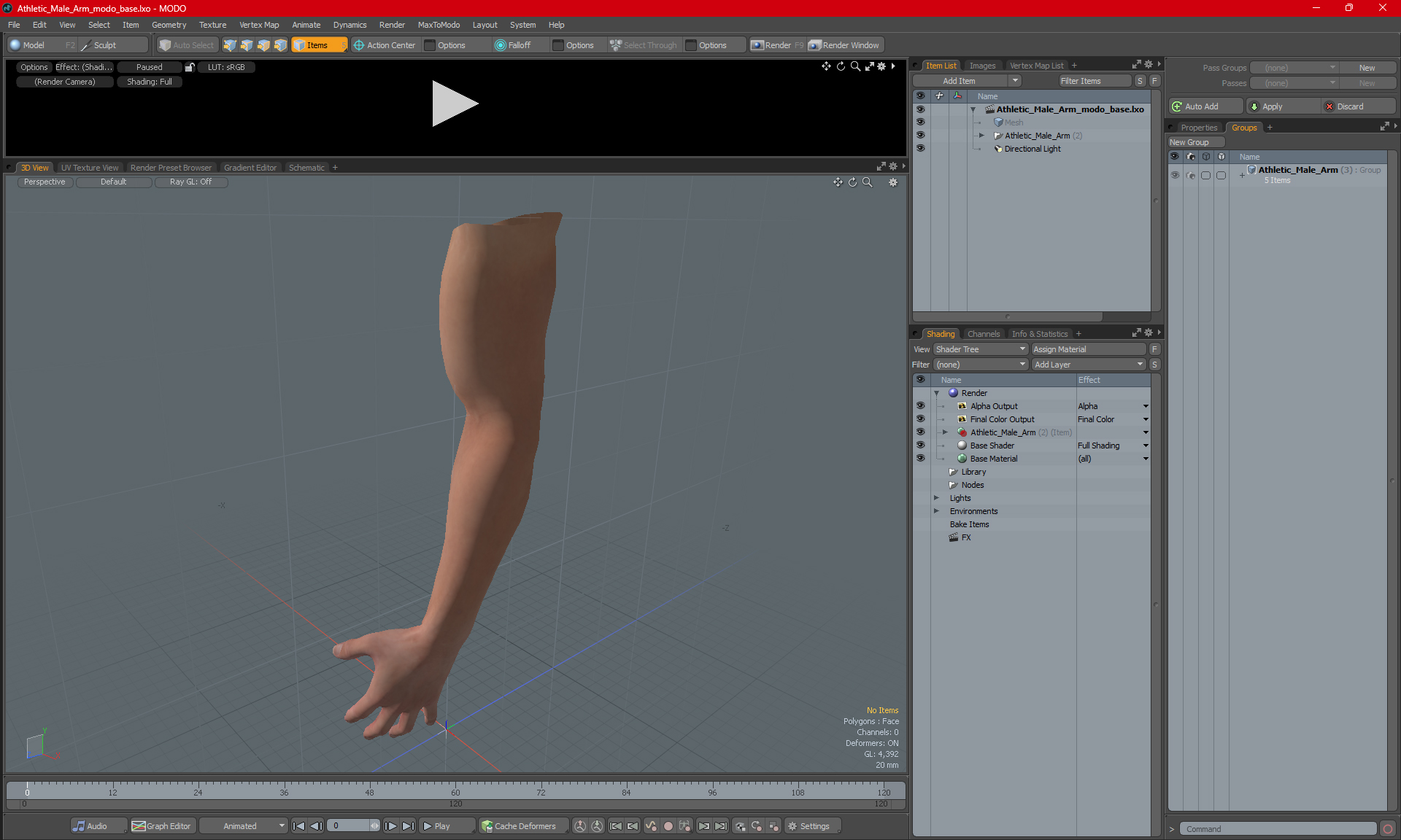 Athletic Male Arm 3D