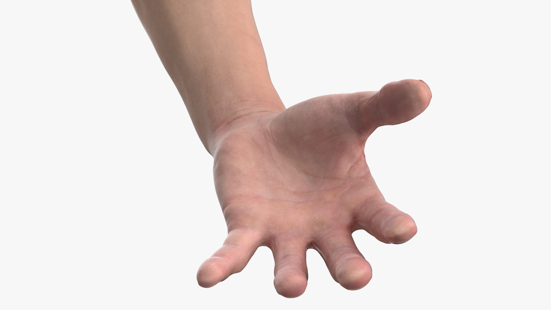 Athletic Male Arm 3D