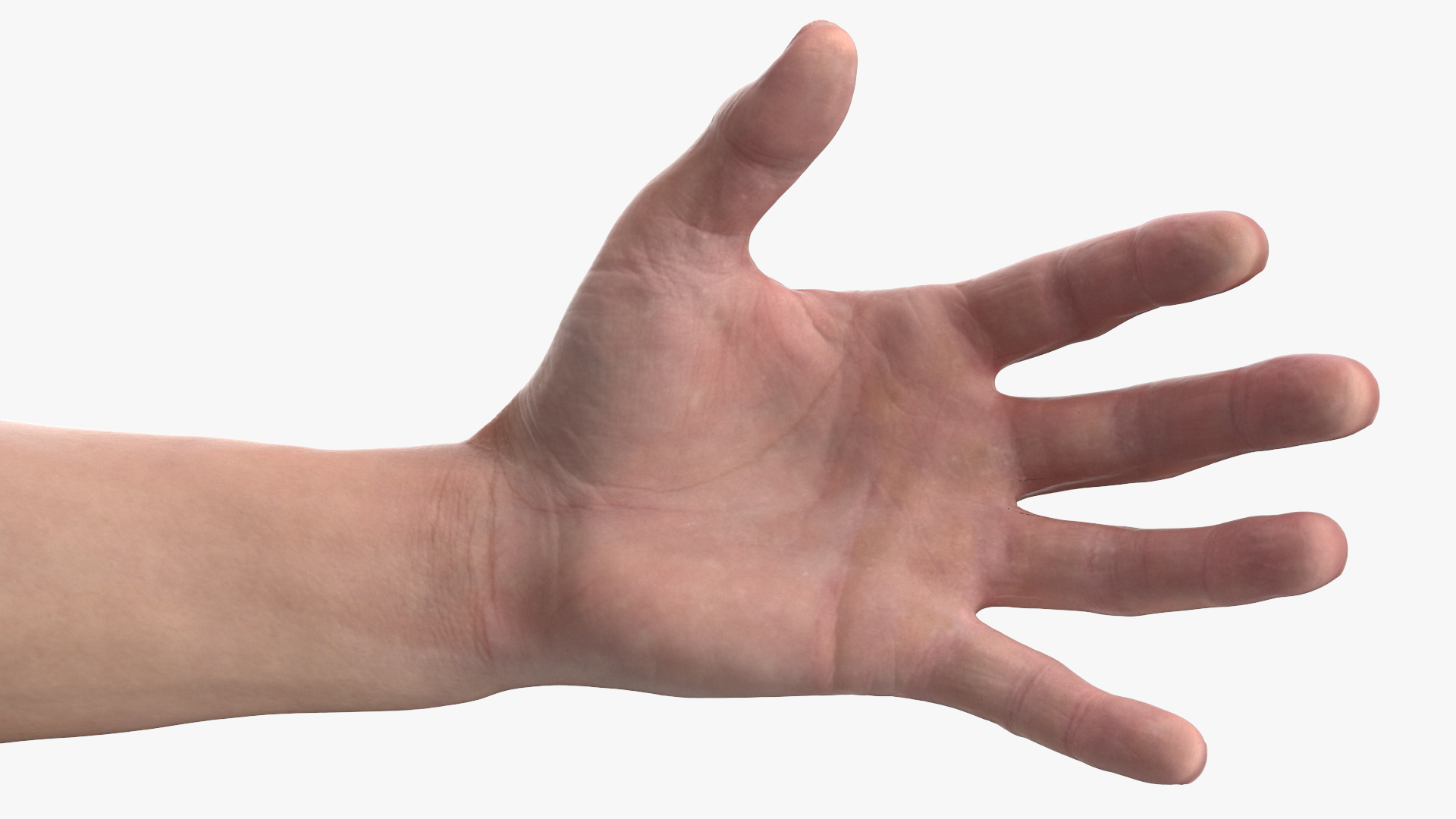Athletic Male Arm 3D