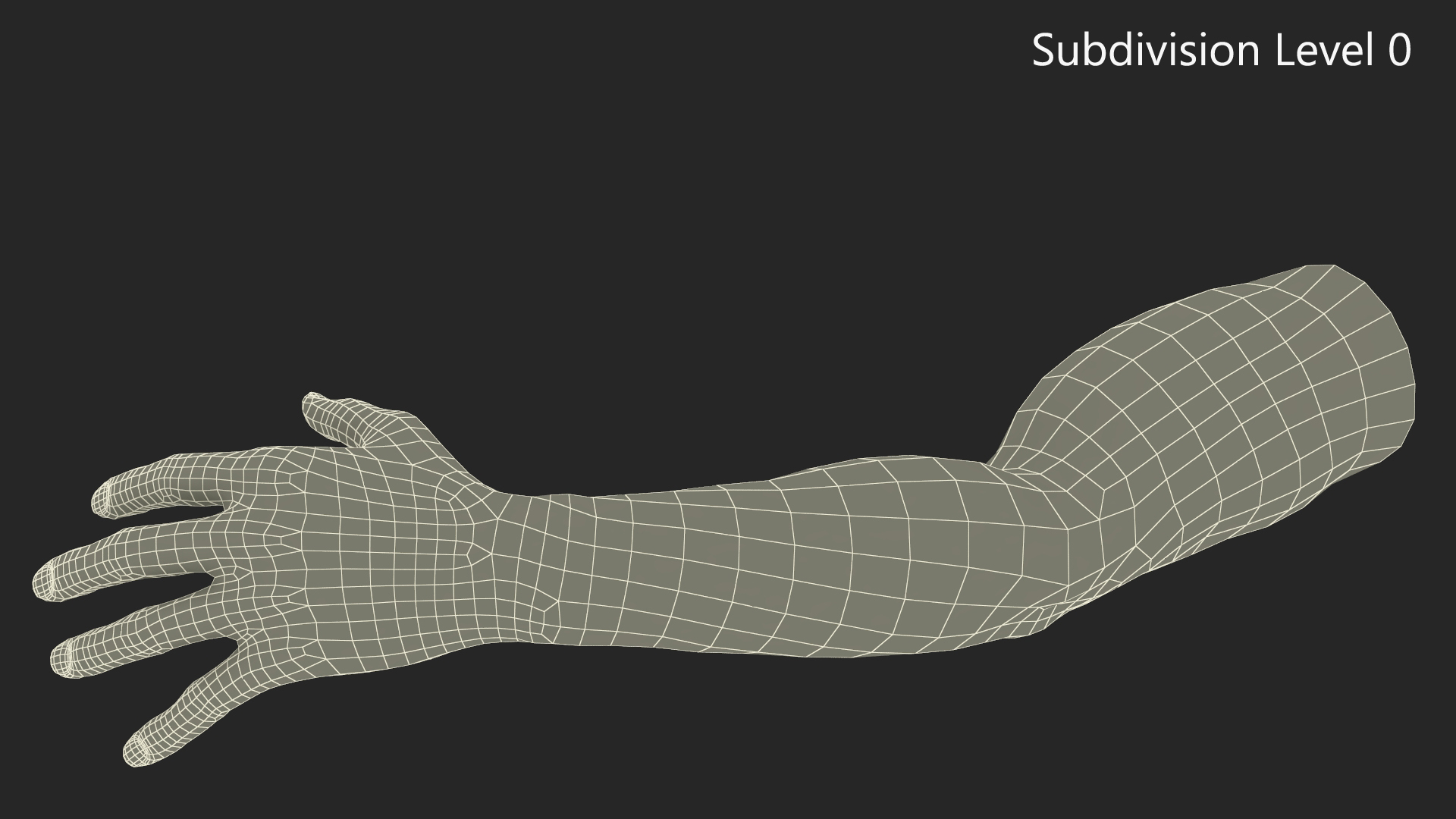 Athletic Male Arm 3D