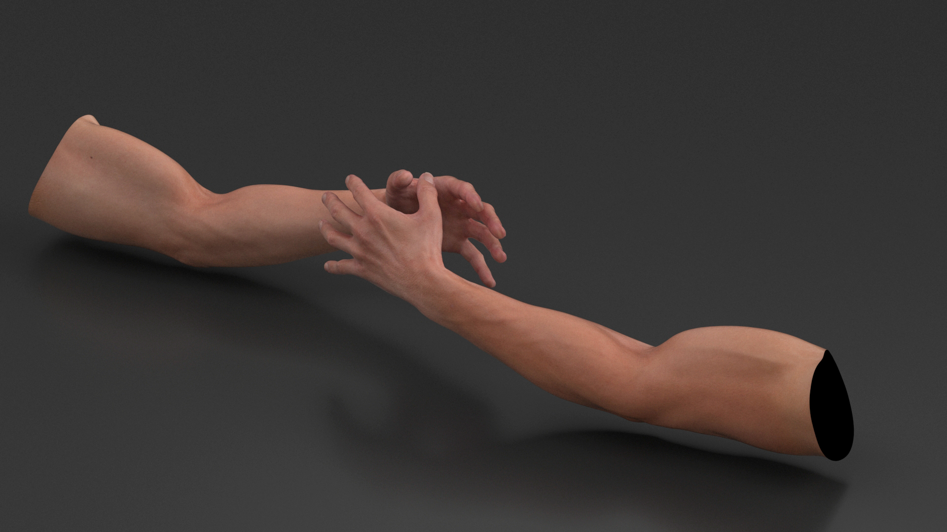 Athletic Male Arm 3D
