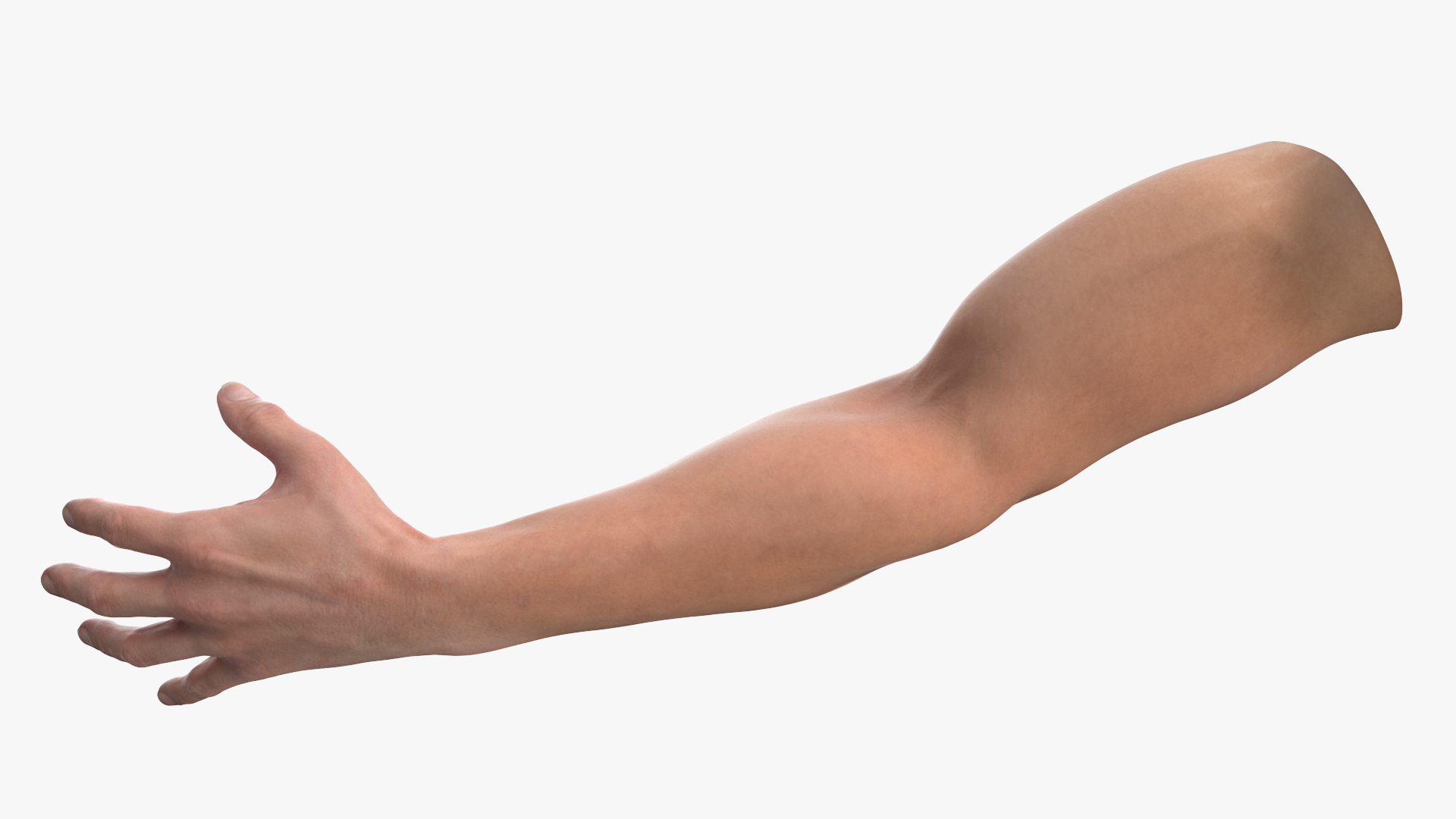Athletic Male Arm 3D