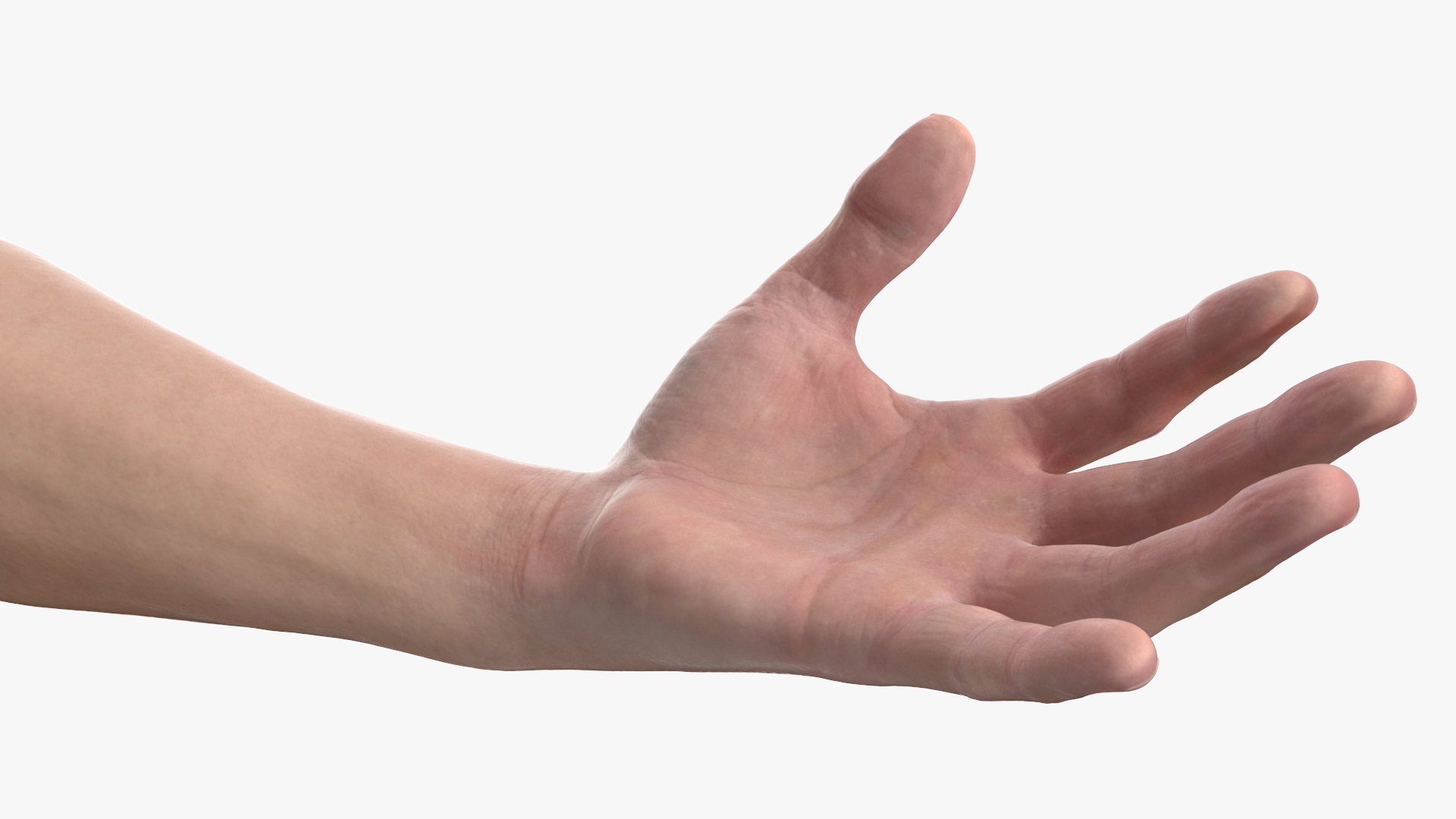 Athletic Male Arm 3D