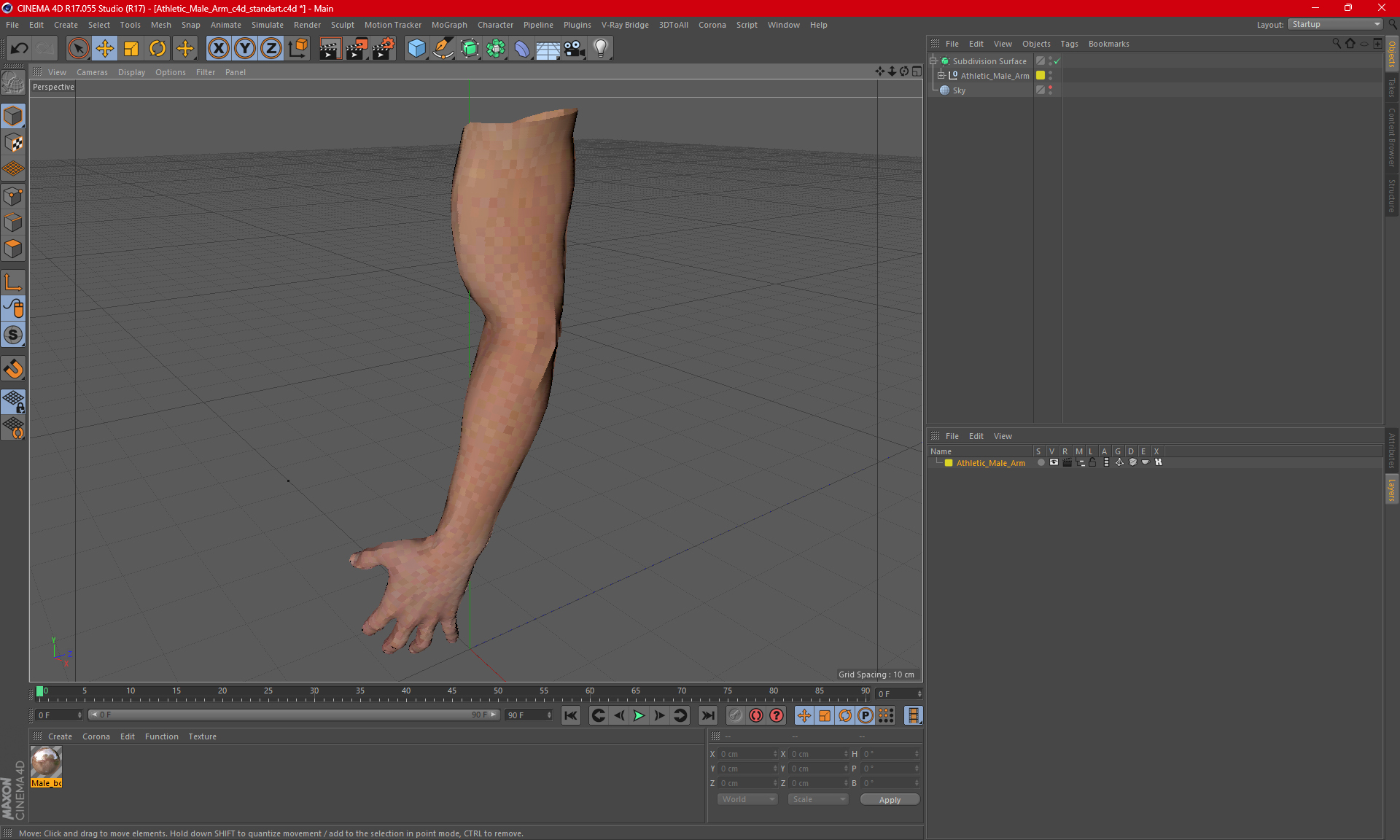 Athletic Male Arm 3D