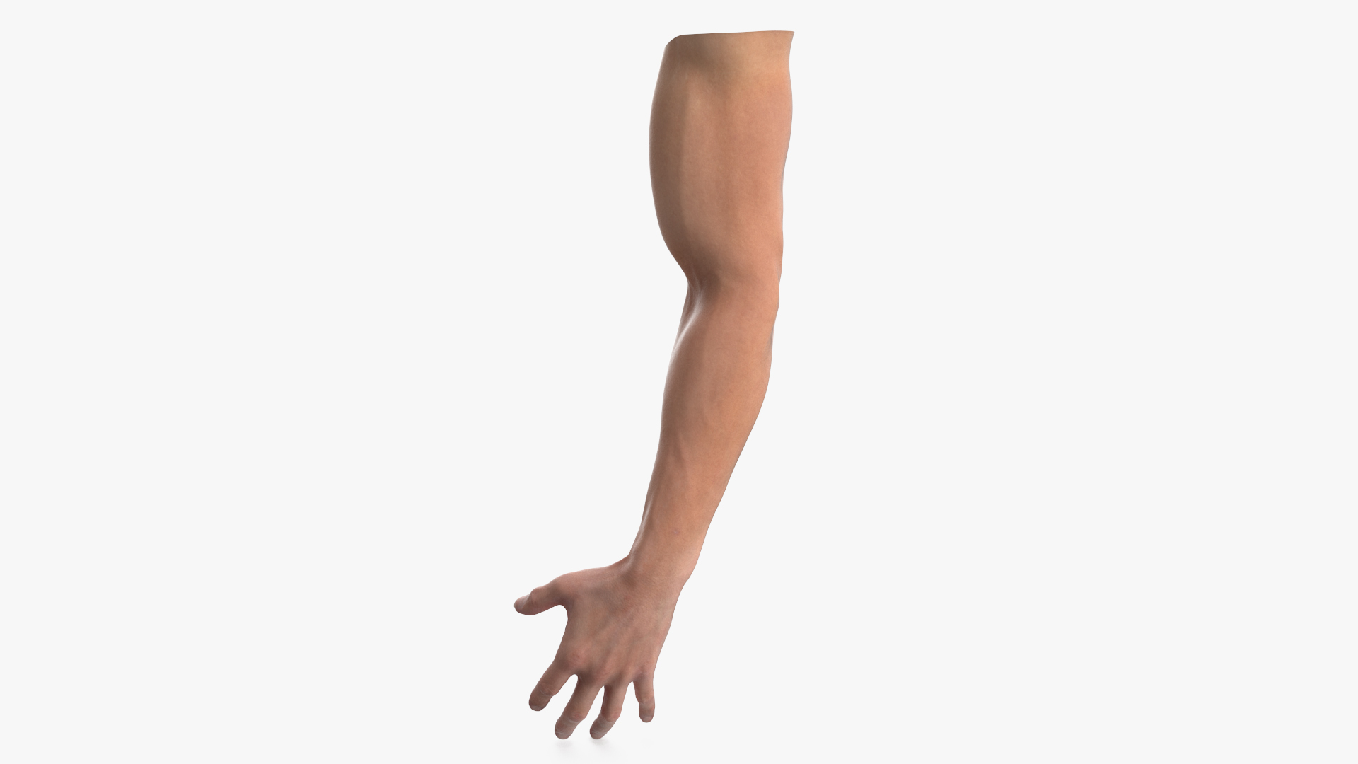 Athletic Male Arm 3D
