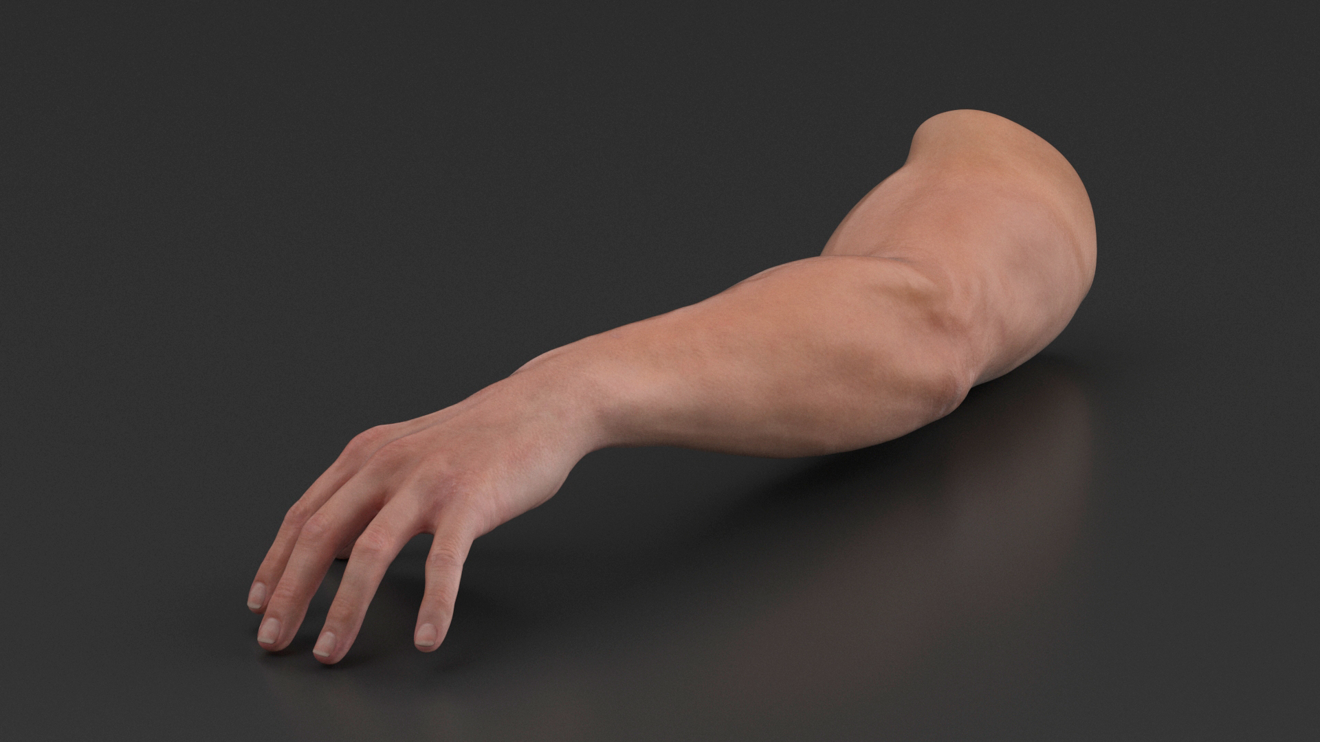 Athletic Male Arm 3D