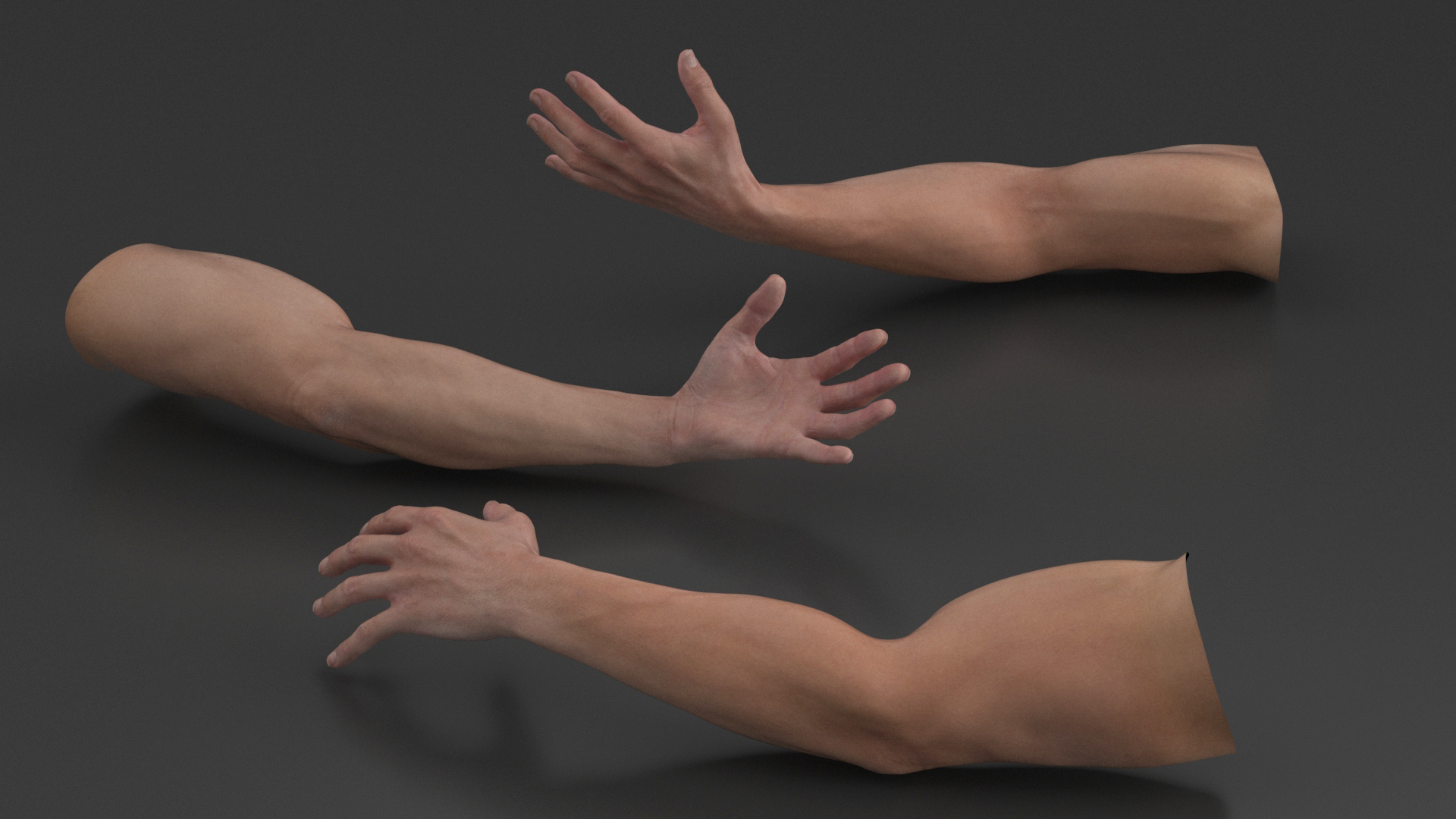 Athletic Male Arm 3D