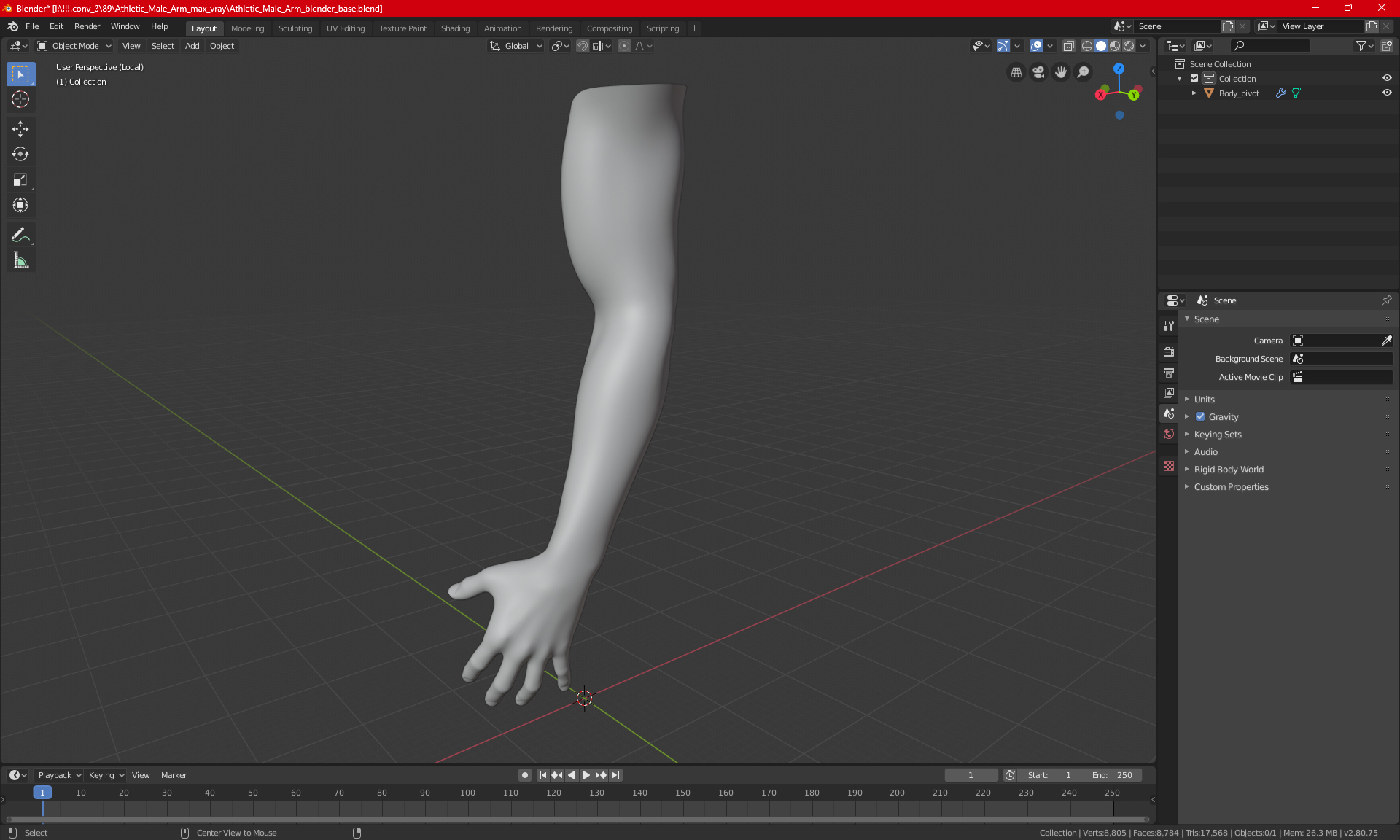 Athletic Male Arm 3D