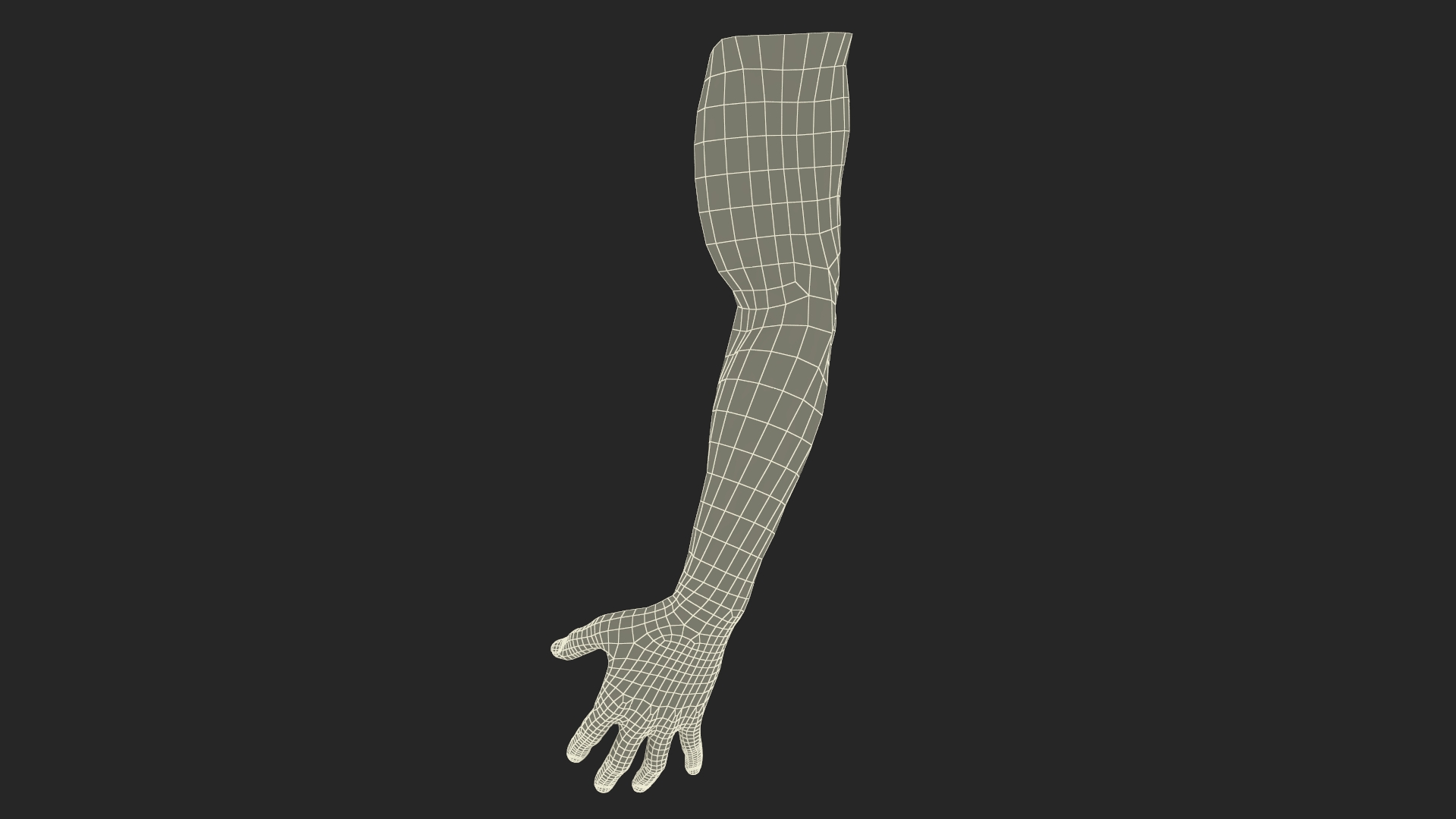 Athletic Male Arm 3D
