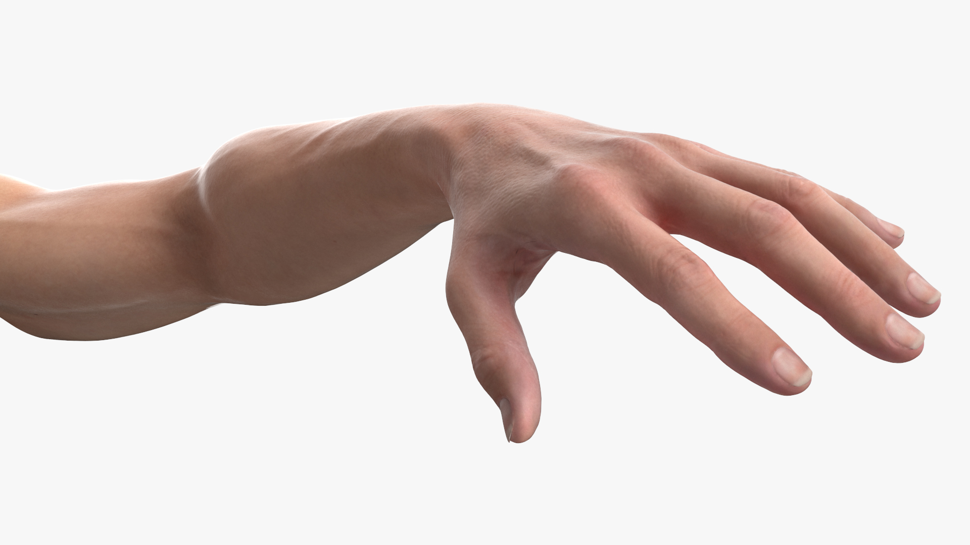 Athletic Male Arm 3D