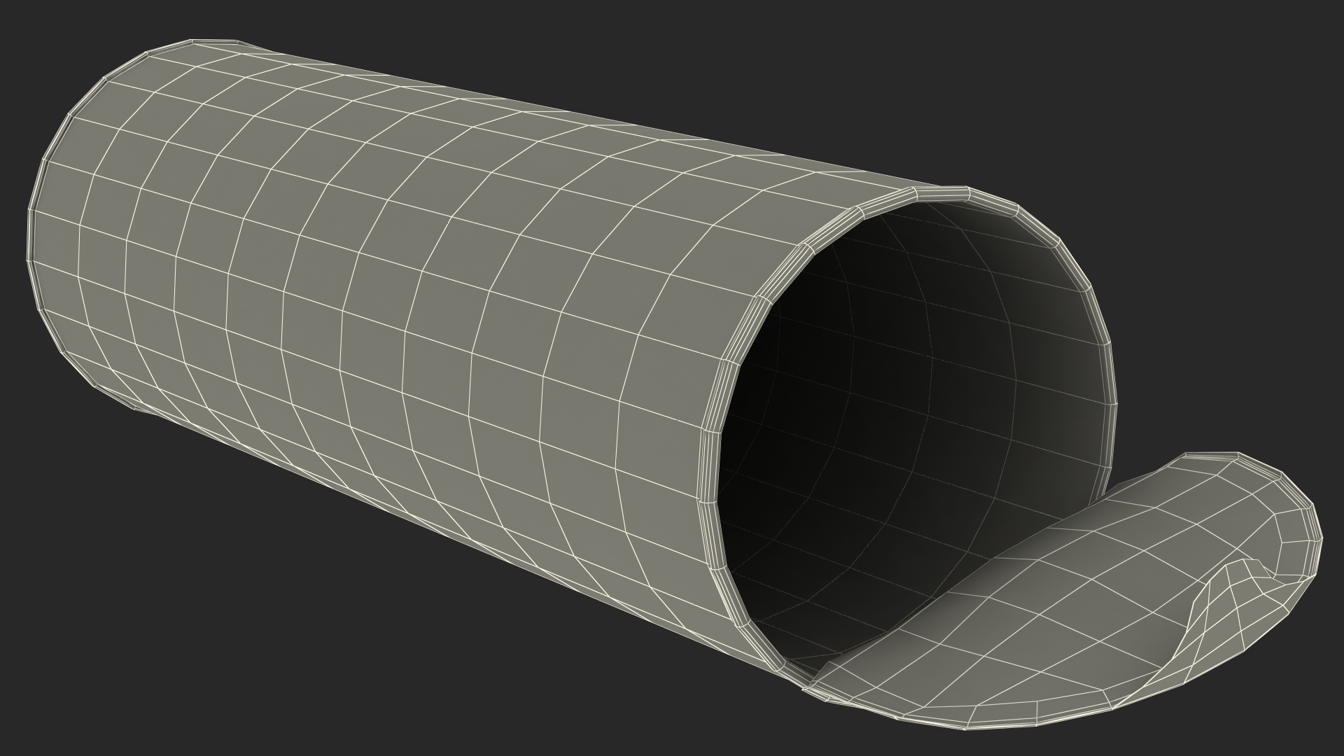Opened Foil Tube with Potato Chips 3D model