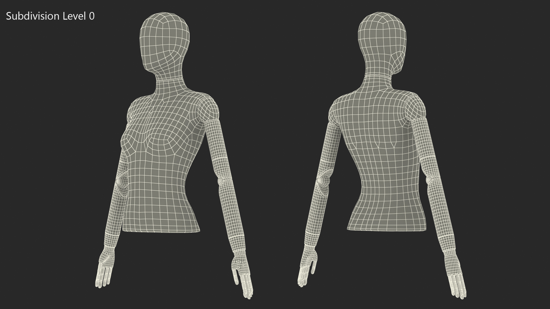 3D Female Flexible Half Body Mannequin Torso