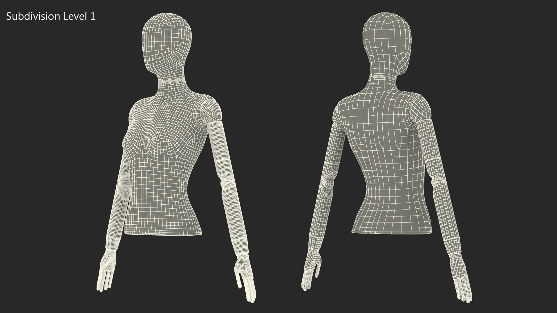 3D Female Flexible Half Body Mannequin Torso