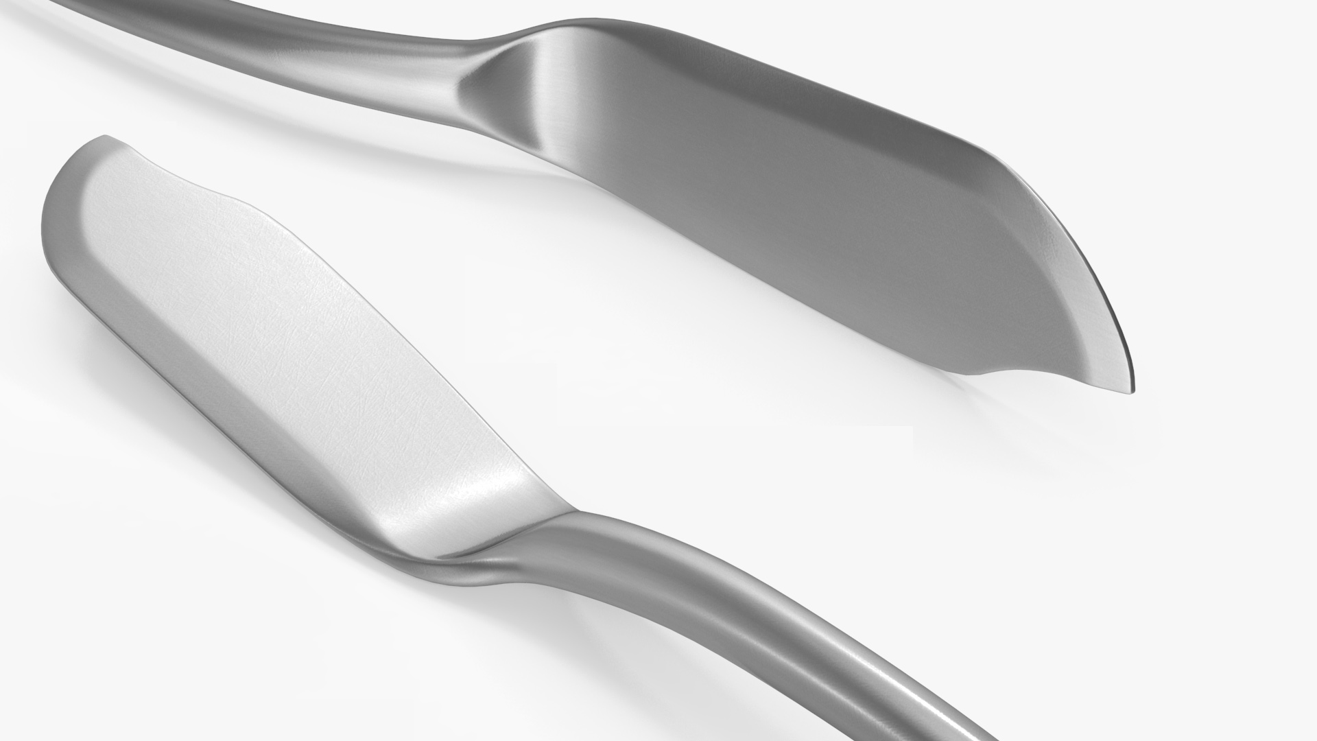 Fish Knife Silver 3D