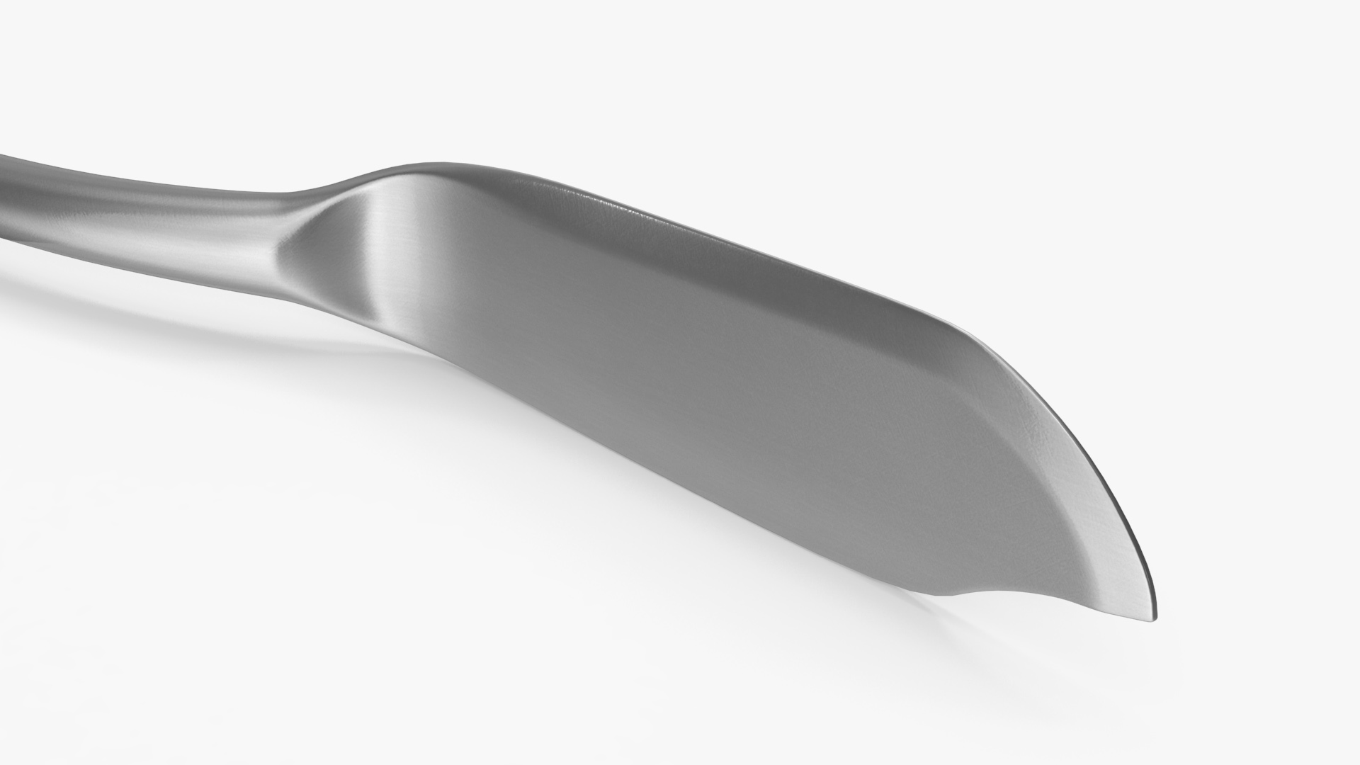 Fish Knife Silver 3D